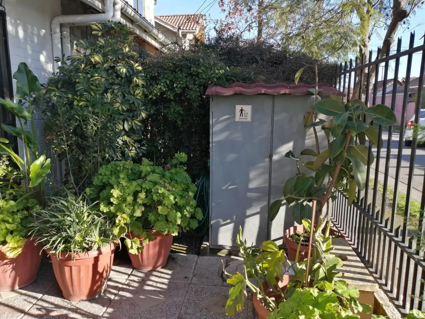 Garden in Casa Roble Añejo Bed & Breakfast