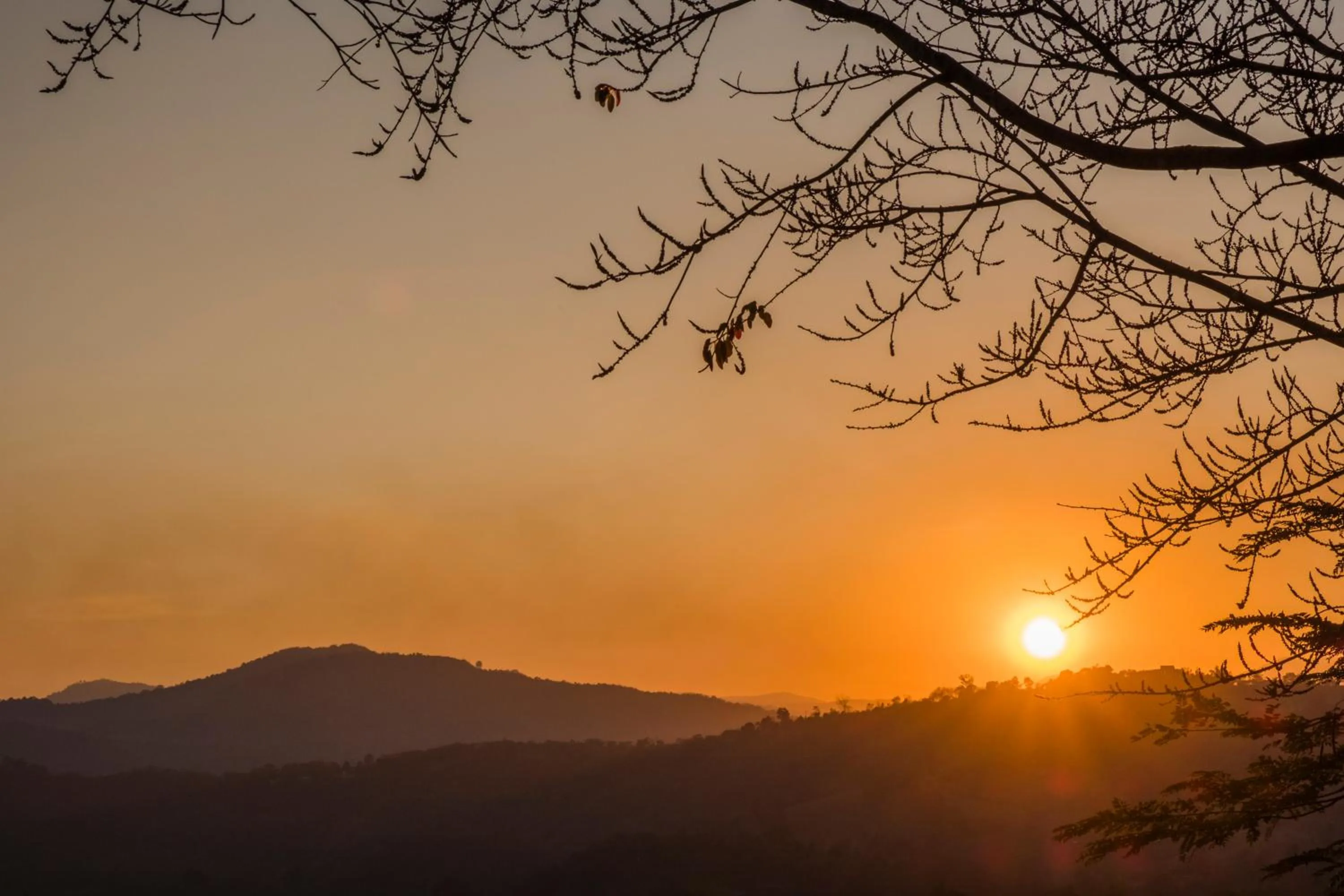 Mountain view in Phu Chaisai Chiang Rai Mountain Resort