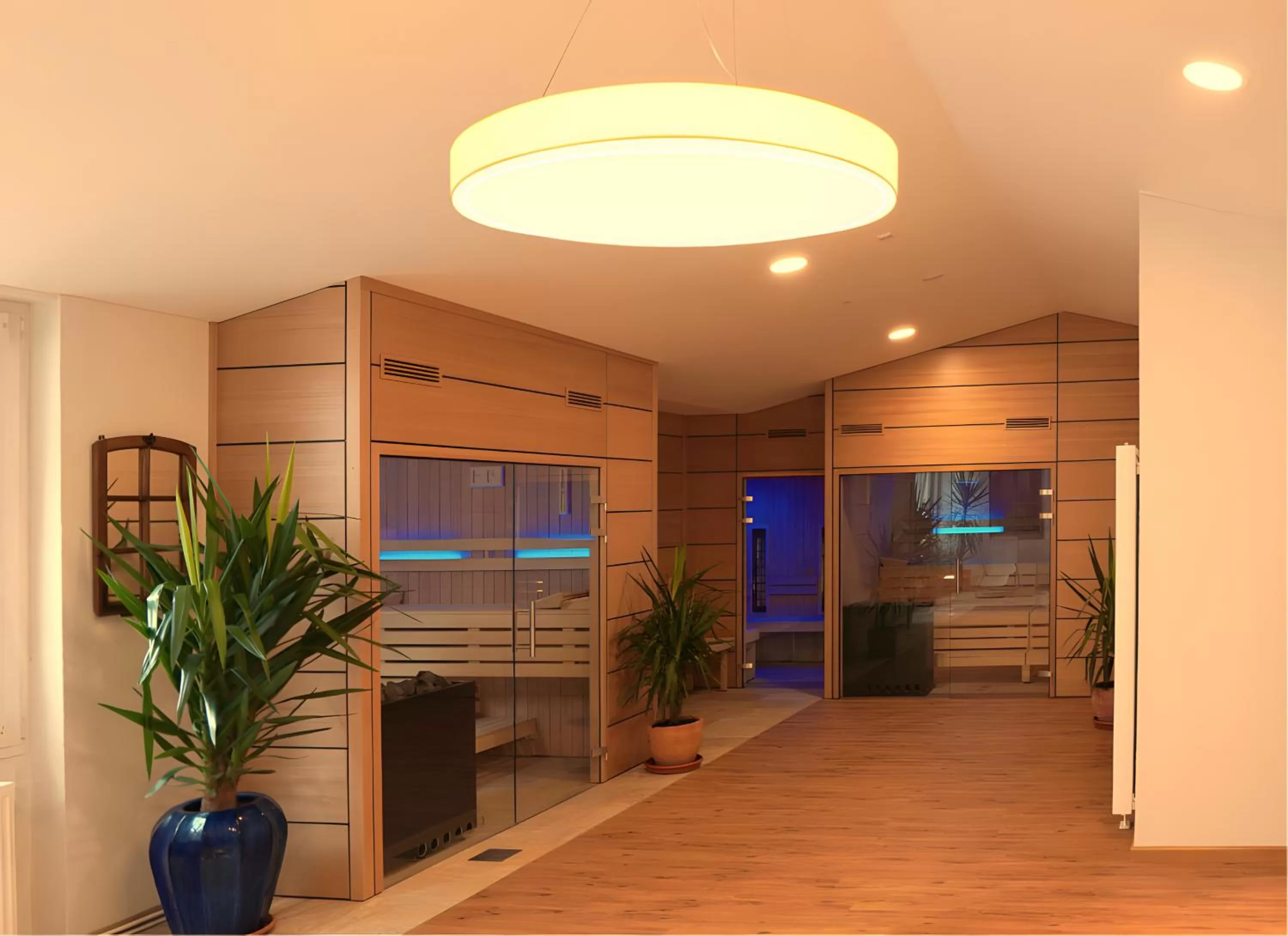 Sauna in Vegan Hotel und Restaurants Nicolay 1881