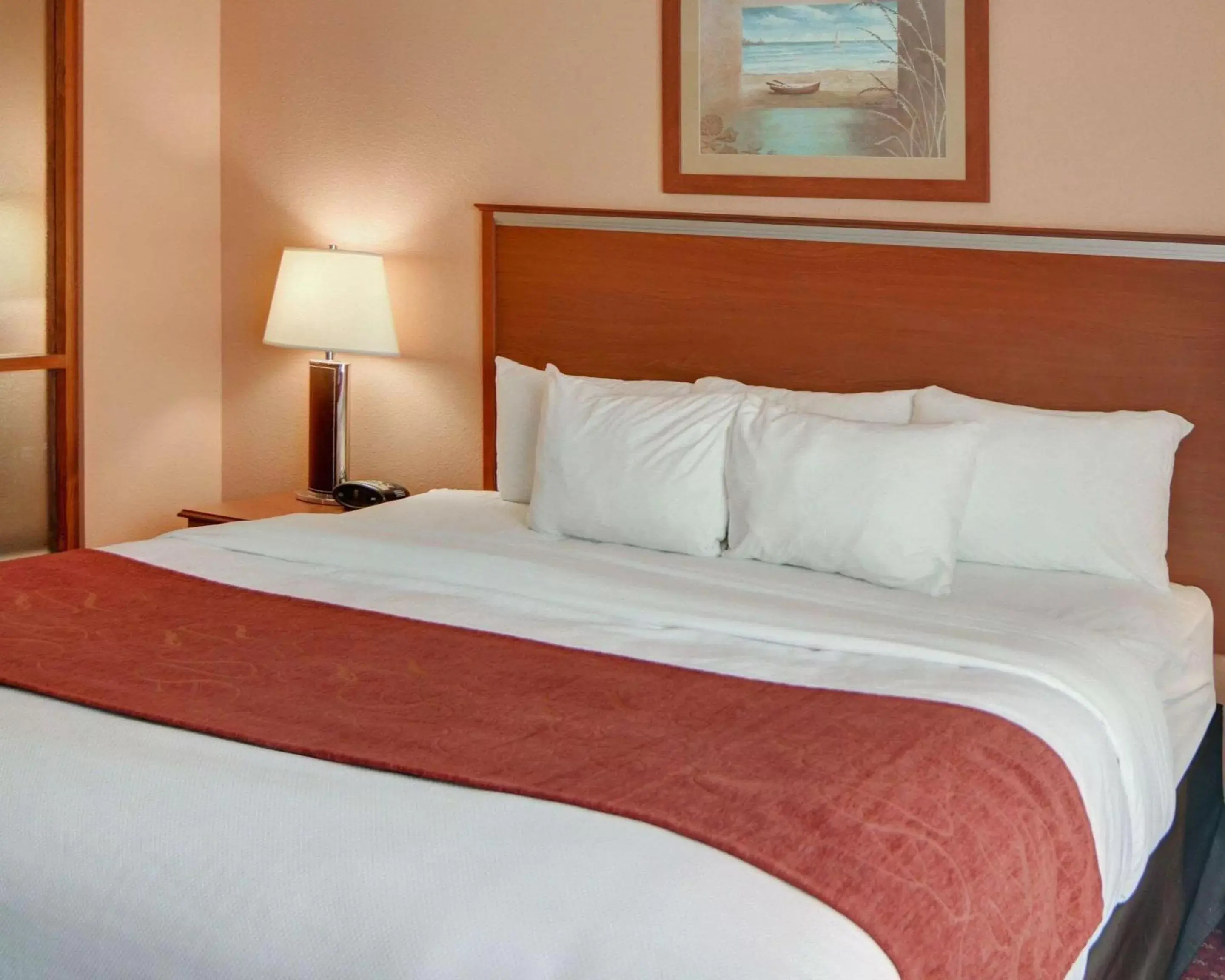 King Suite - Non-Smoking in Quality Suites Near Cedar Creek Lake King Suite - Non-Smoking in Quality Suites Near Cedar Creek Lake