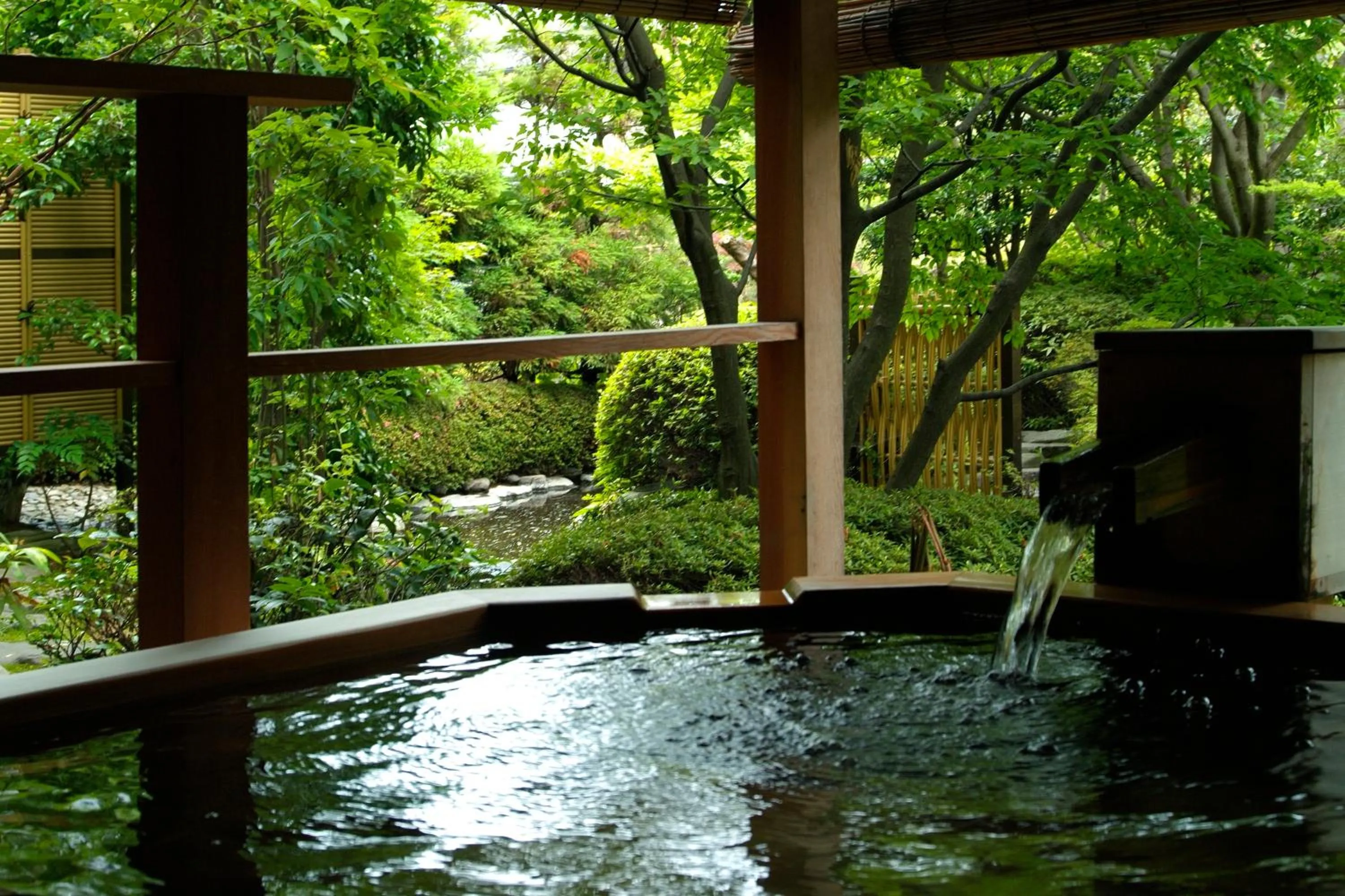 Photo of the whole room in Grandia Housen