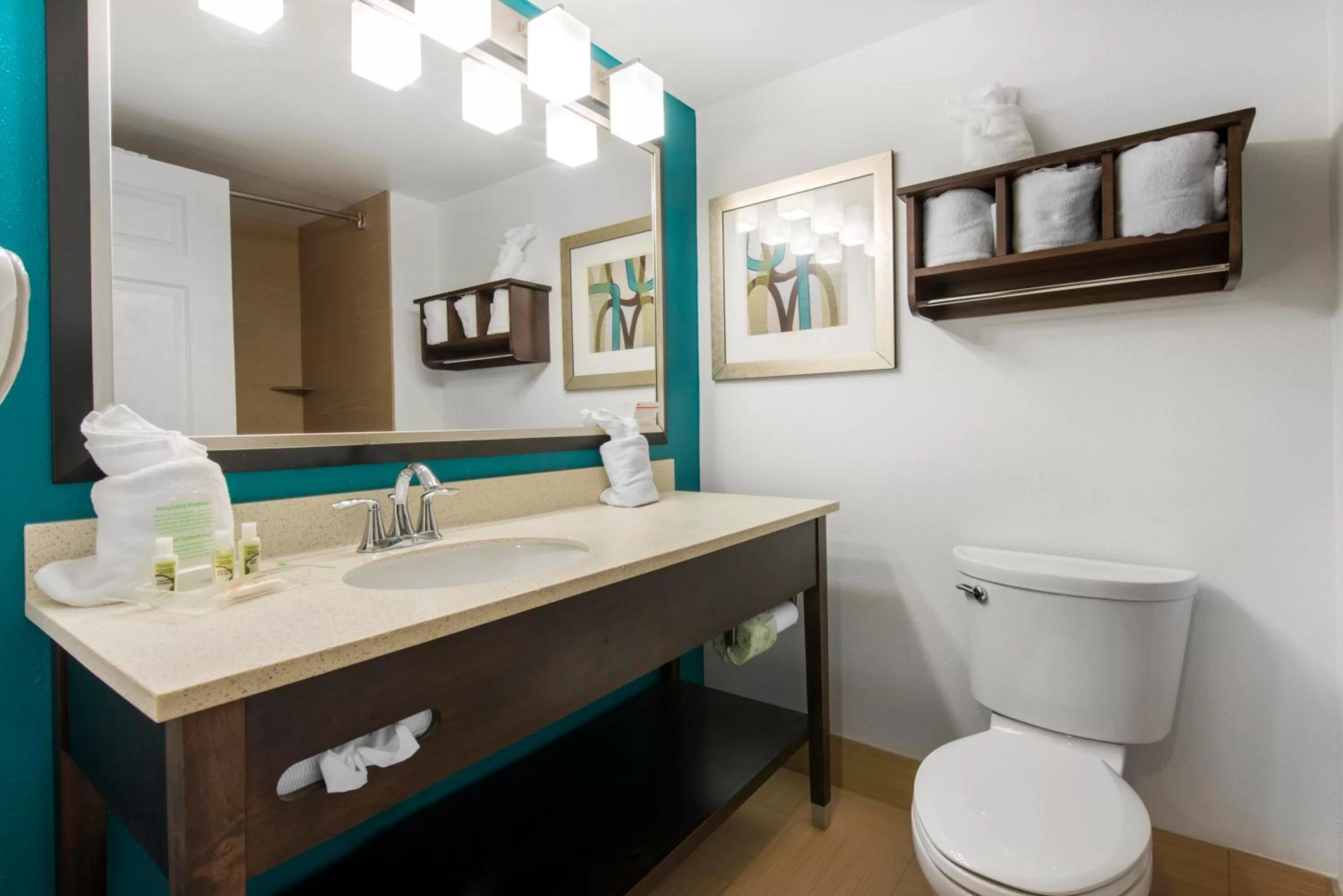 Bathroom in Holiday Inn Savannah South - I-95 Gateway by IHG