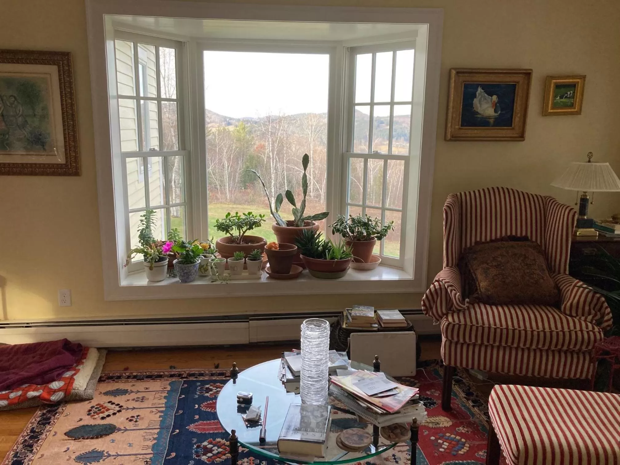 Seating Area in The Birch Grove