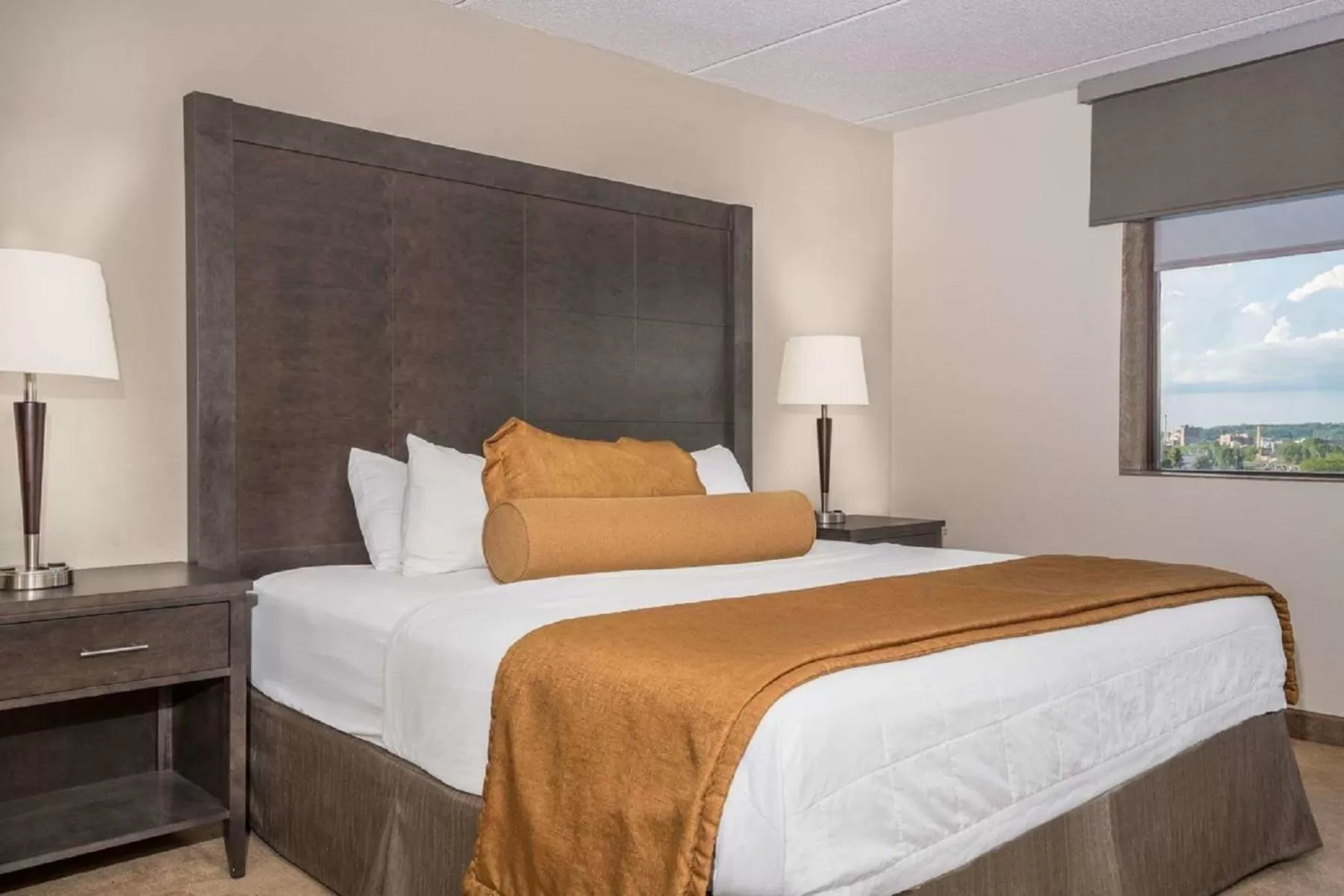 King Room - Non-Smoking in Rochester Hotel & Suites - Mayo Clinic Area