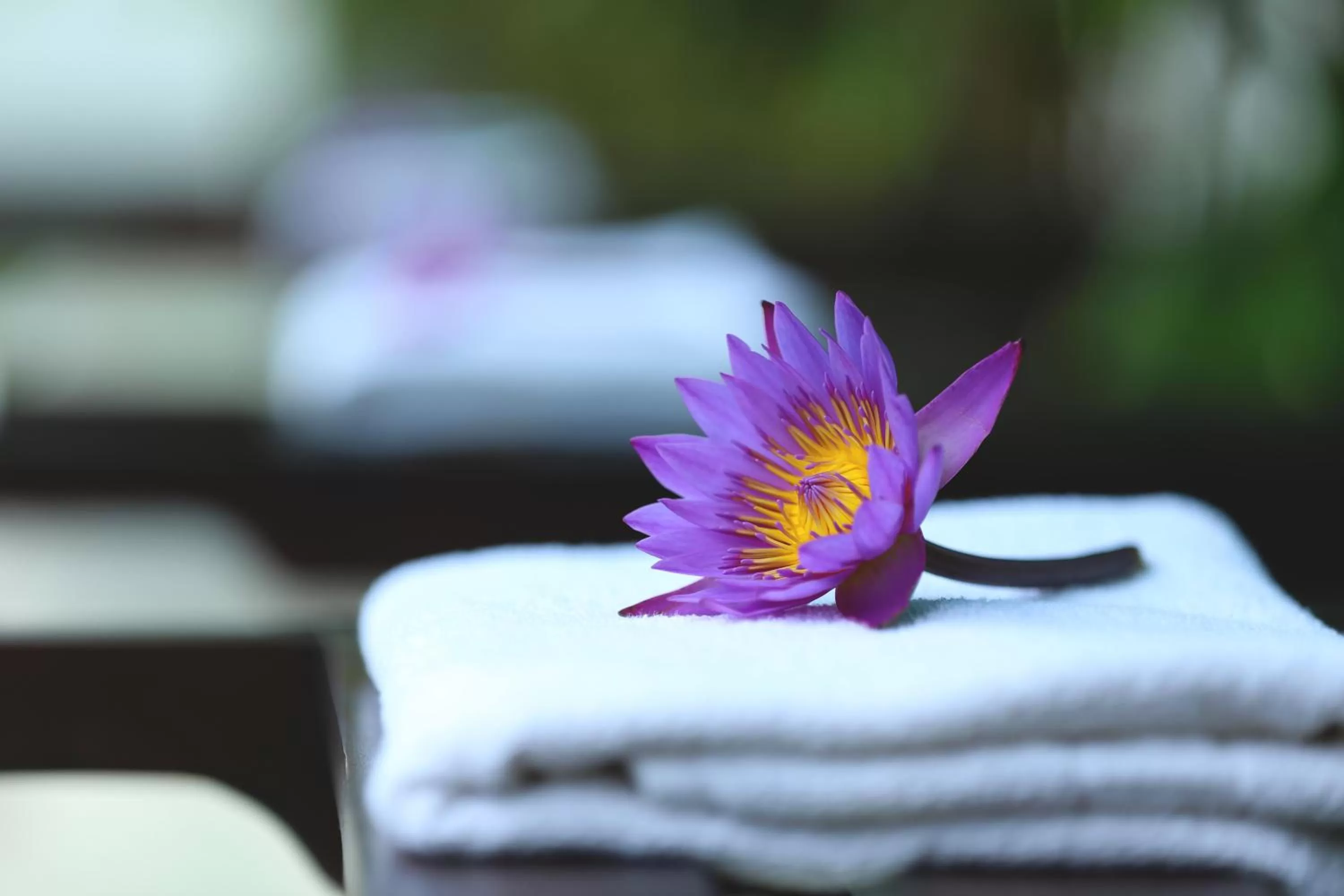 Garden in Kaminrich Cottage