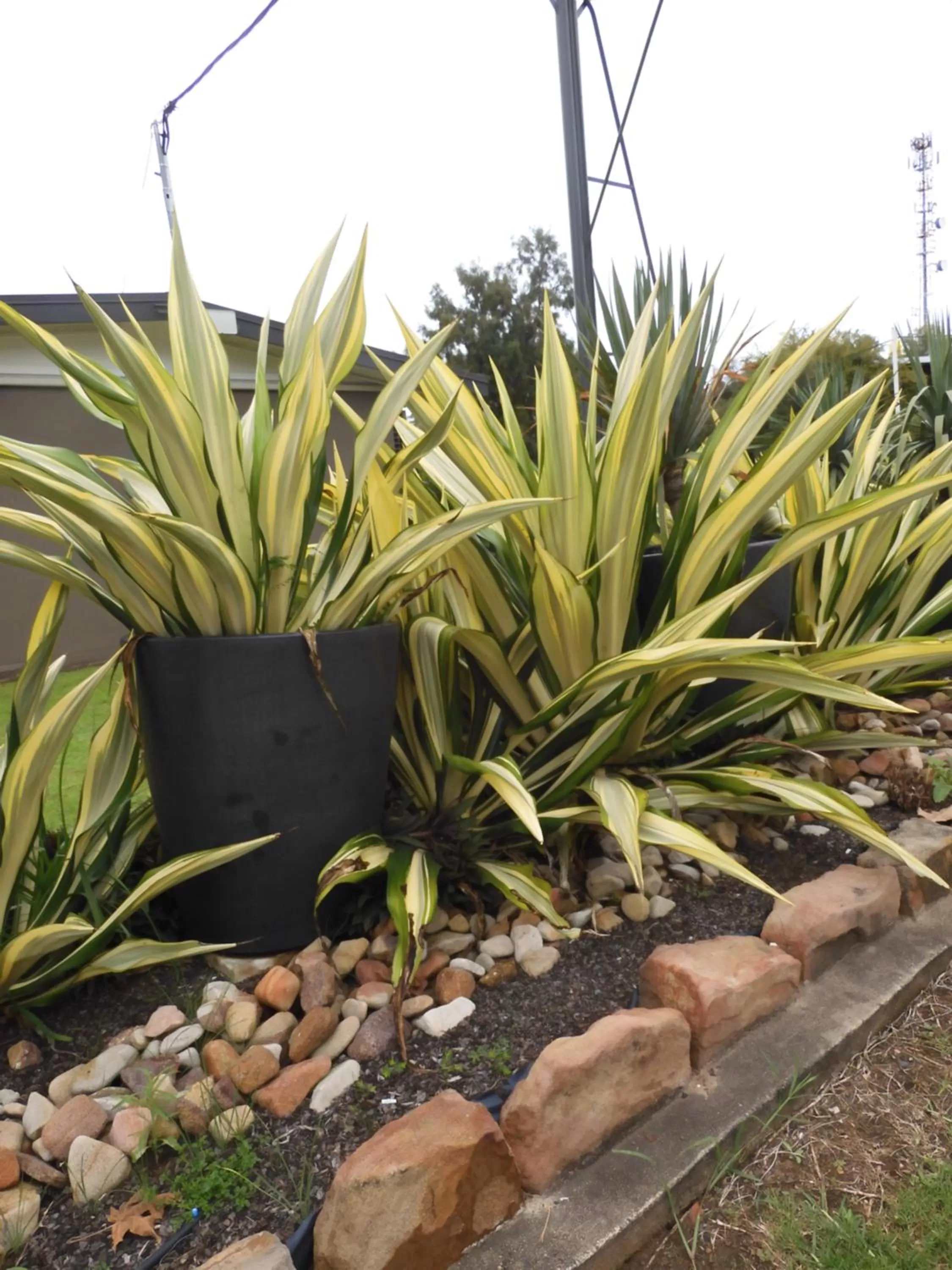 Property building in Dalby Parkview Motel