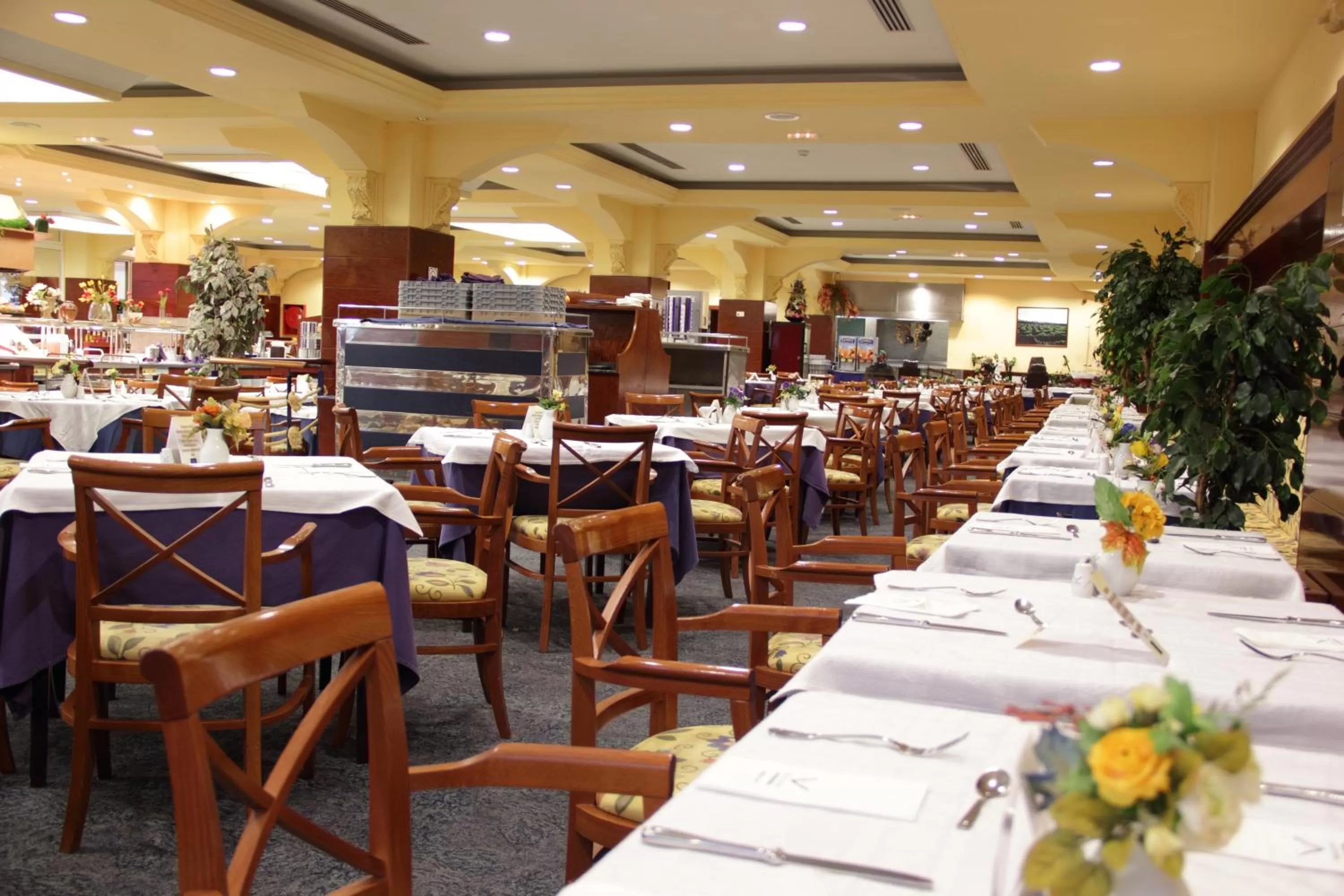 Restaurant/places to eat in VIK Hotel San Antonio