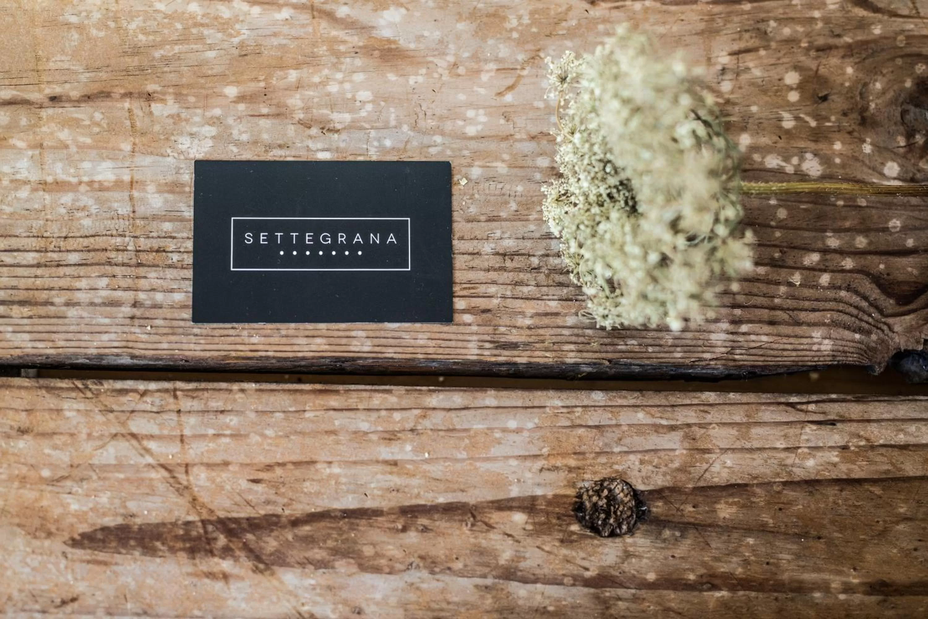 Property logo or sign in Settegrana