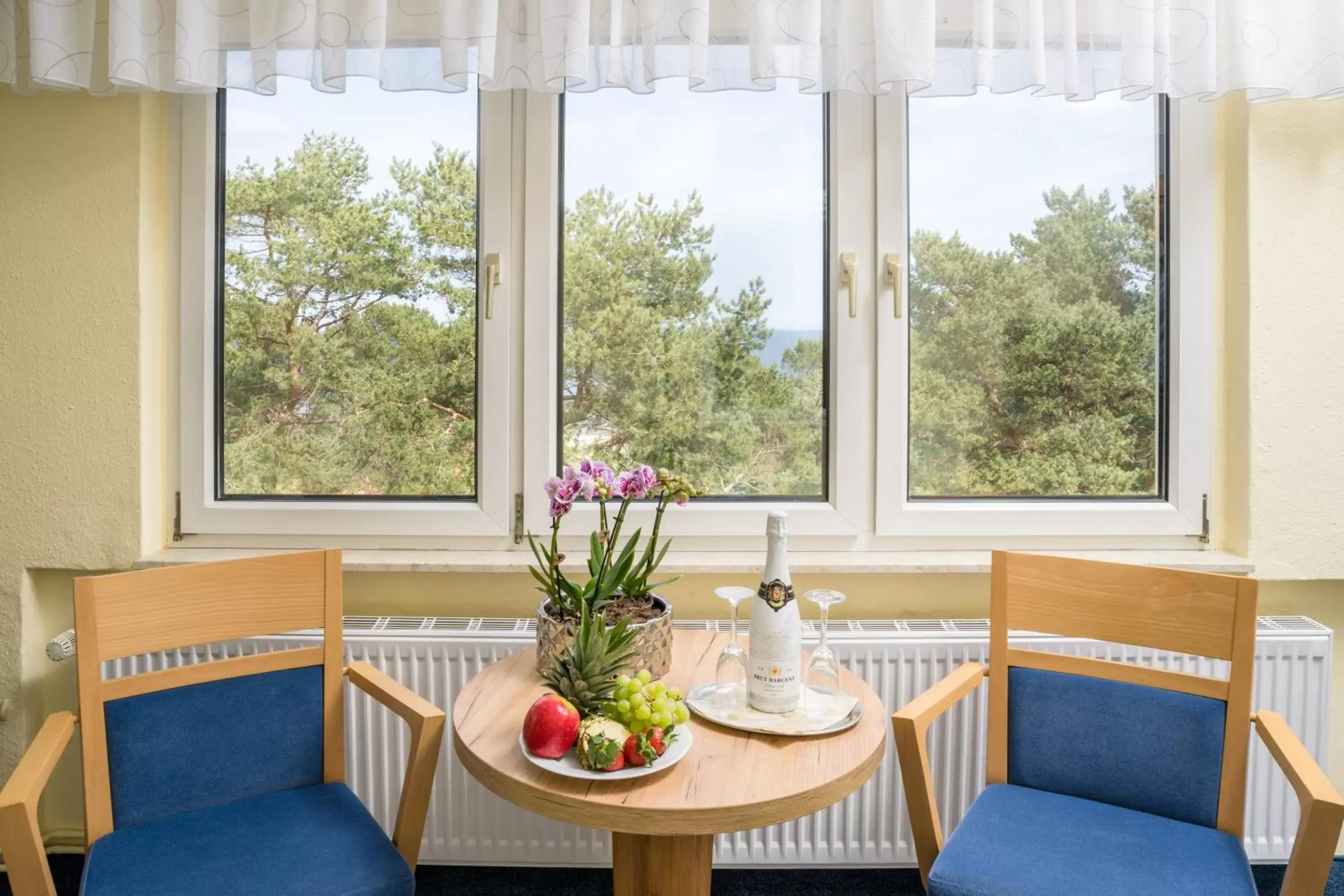 Double Room Seaside with Veranda - single occupancy in Hotel Seestern Double Room Seaside with Veranda - single occupancy in Hotel Seestern