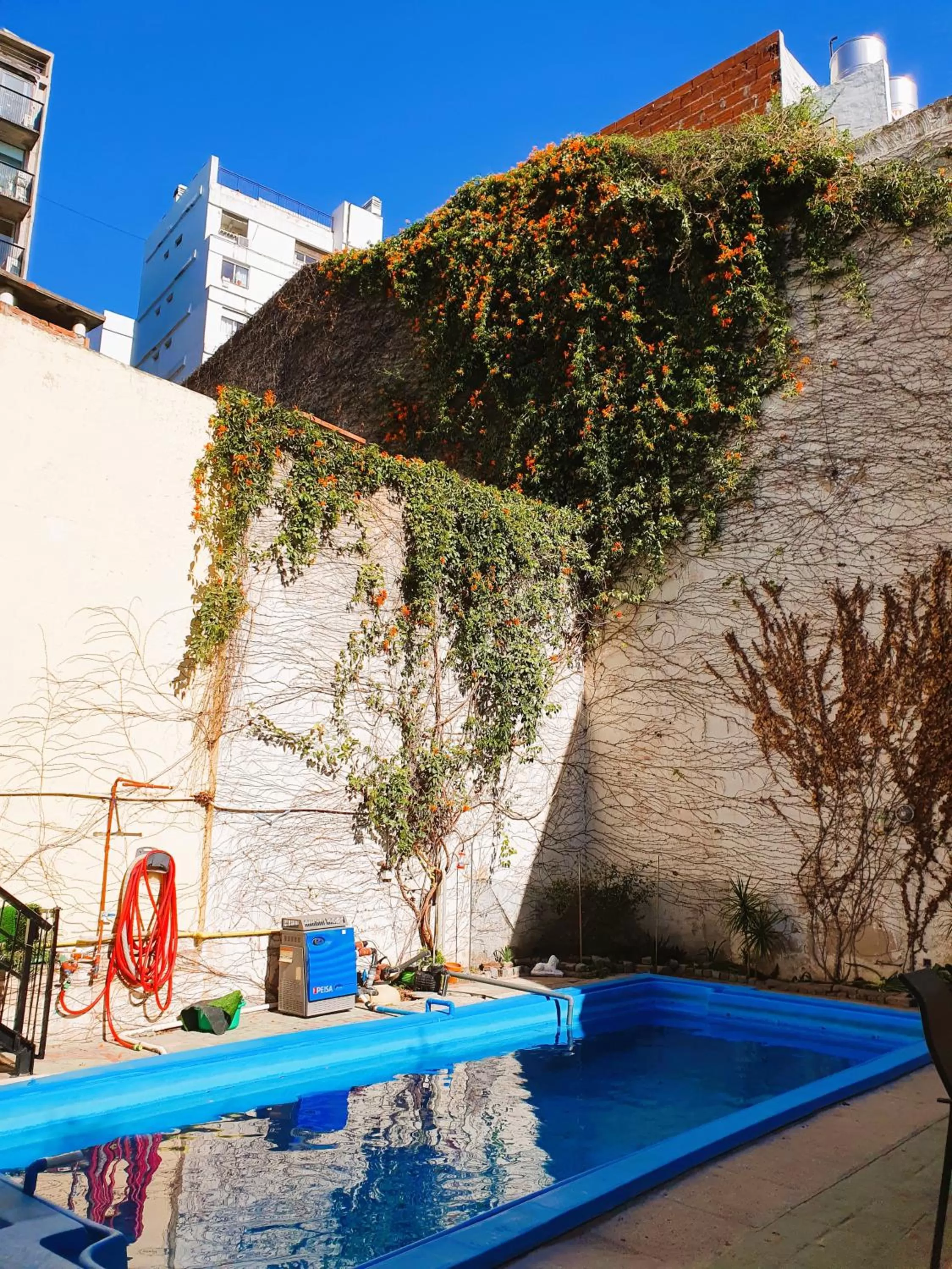 Swimming Pool in Habitaciones en Casa con piscina en Palermo Soho!