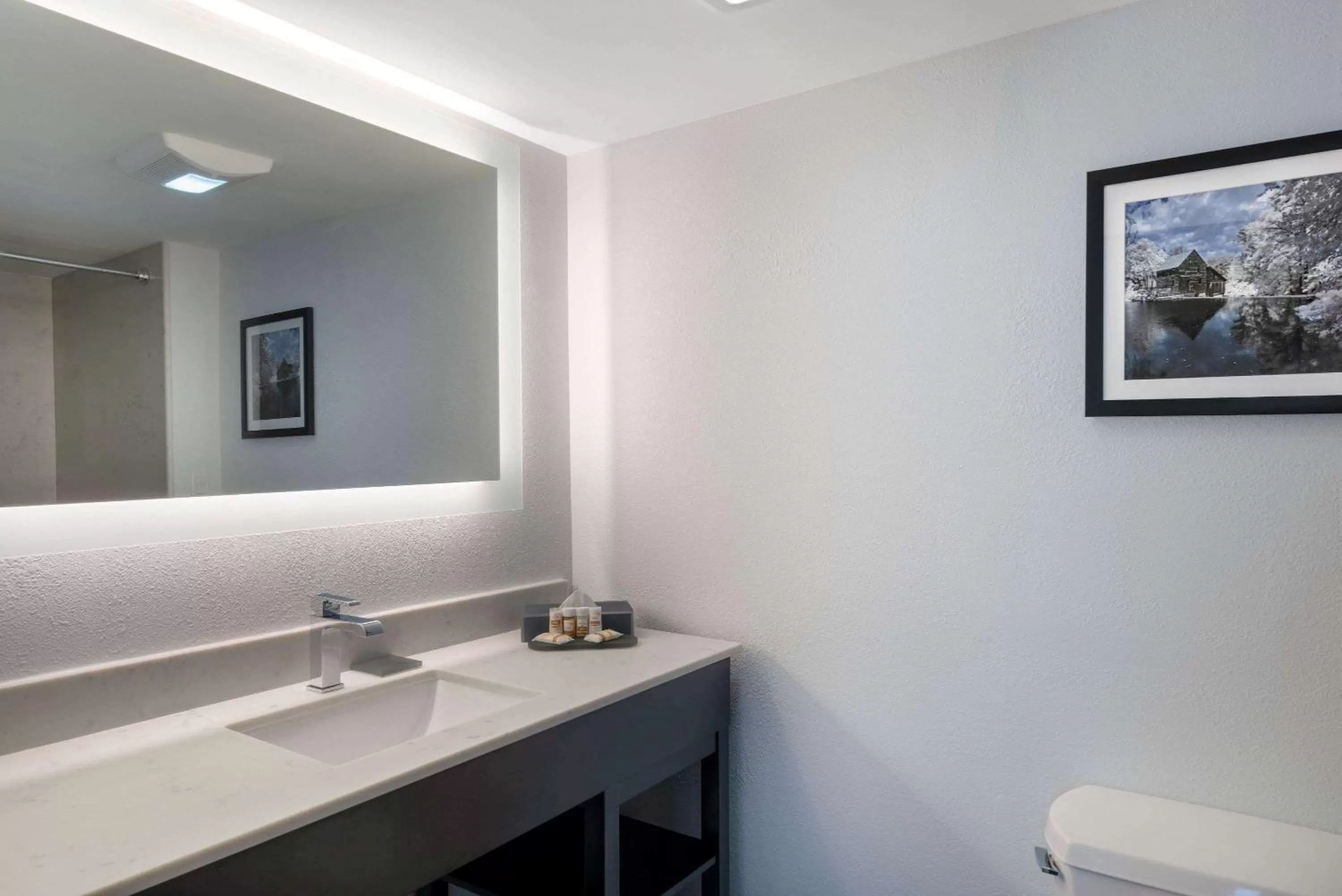 Toilet in La Quinta by Wyndham Raleigh Downtown North