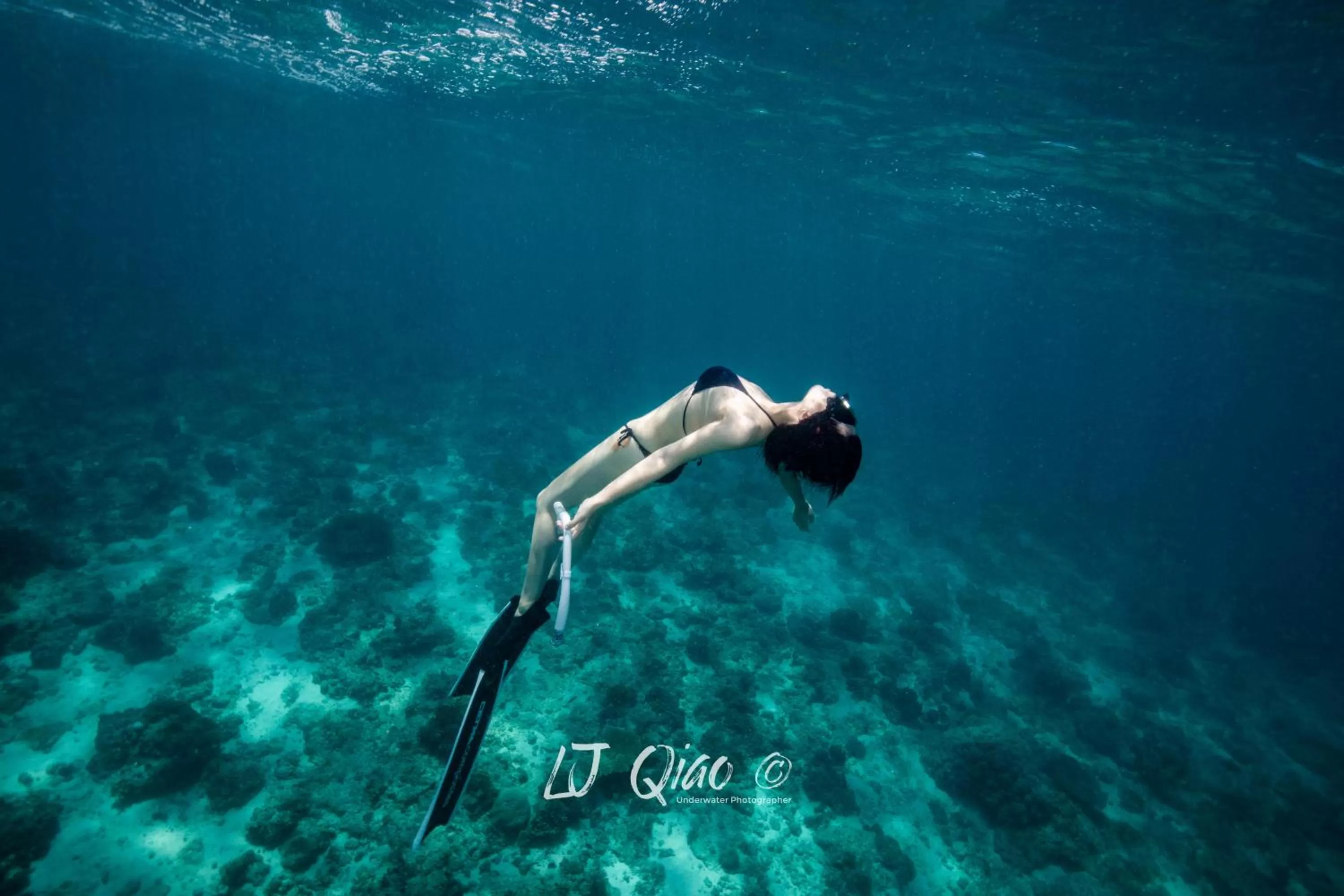 People in Sugarsea Inn & Dive shop