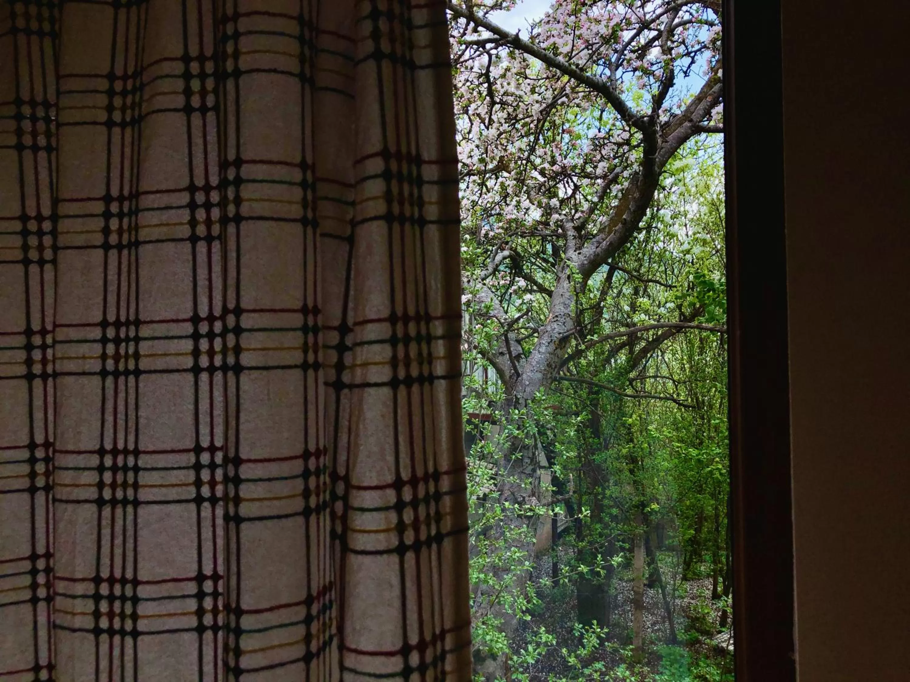 View (from property/room) in Dil Hill by Sam