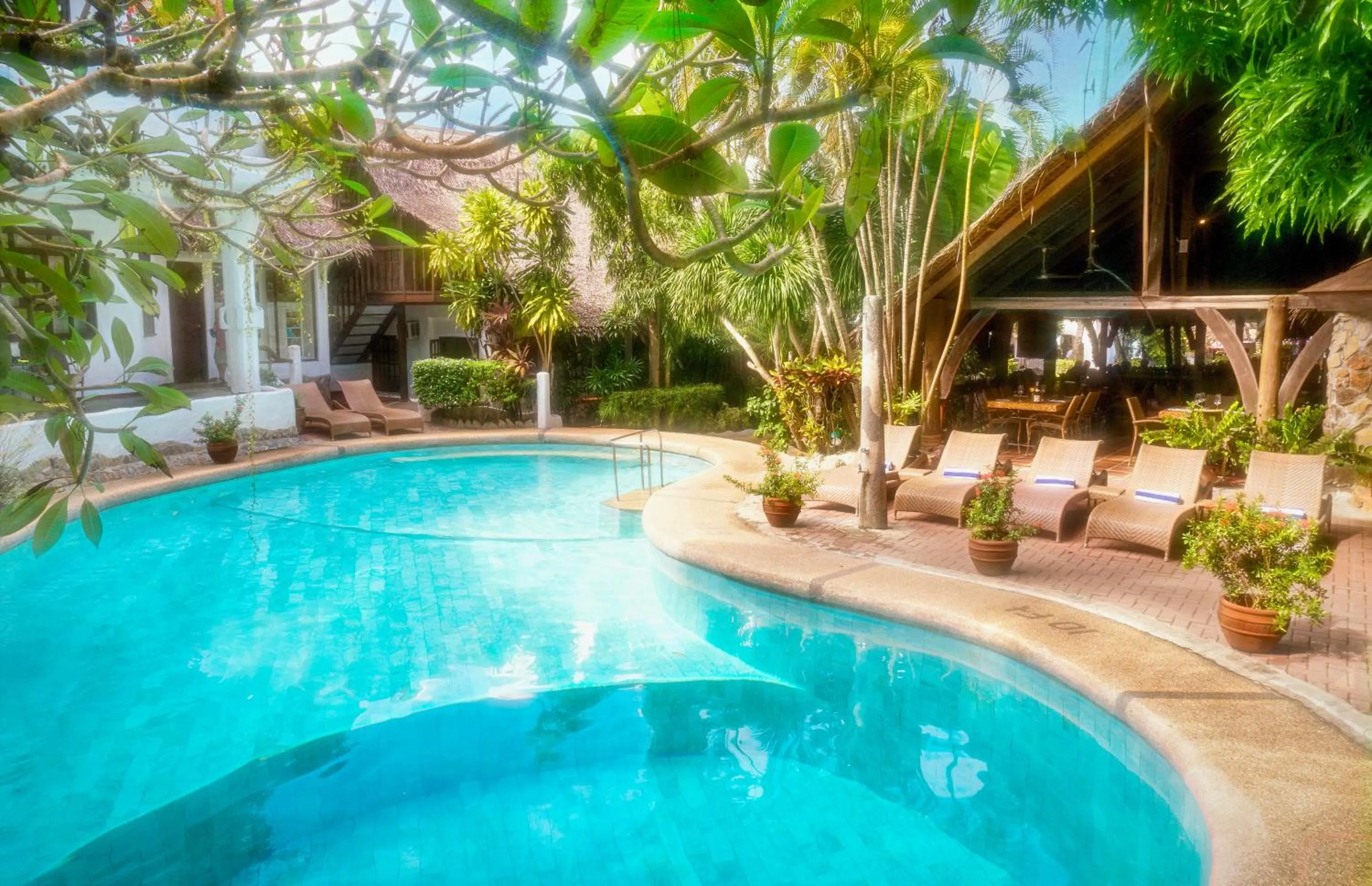 Swimming pool in Atlantis Dive Resort Puerto Galera