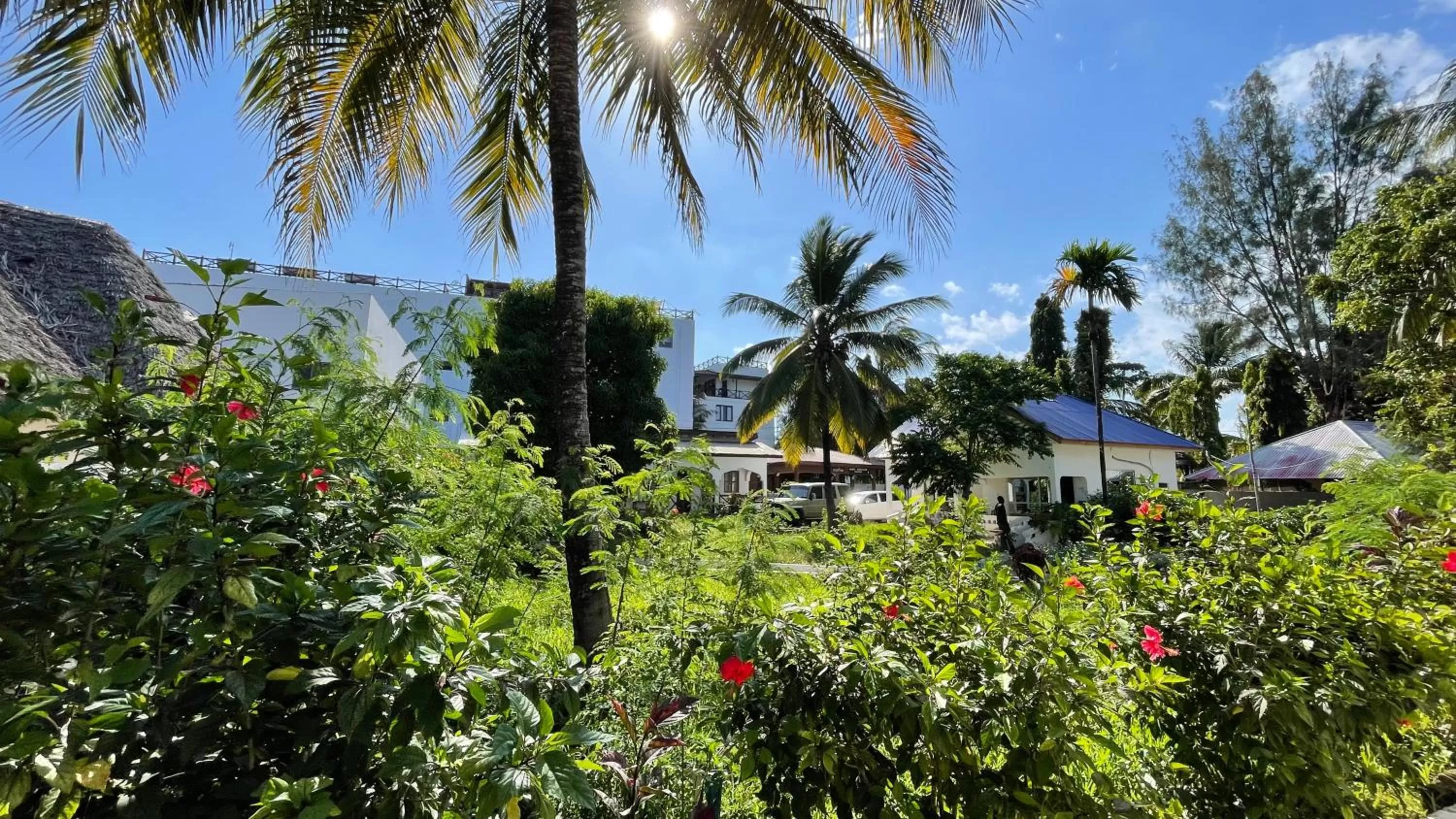 Garden in Kihori Nungwi