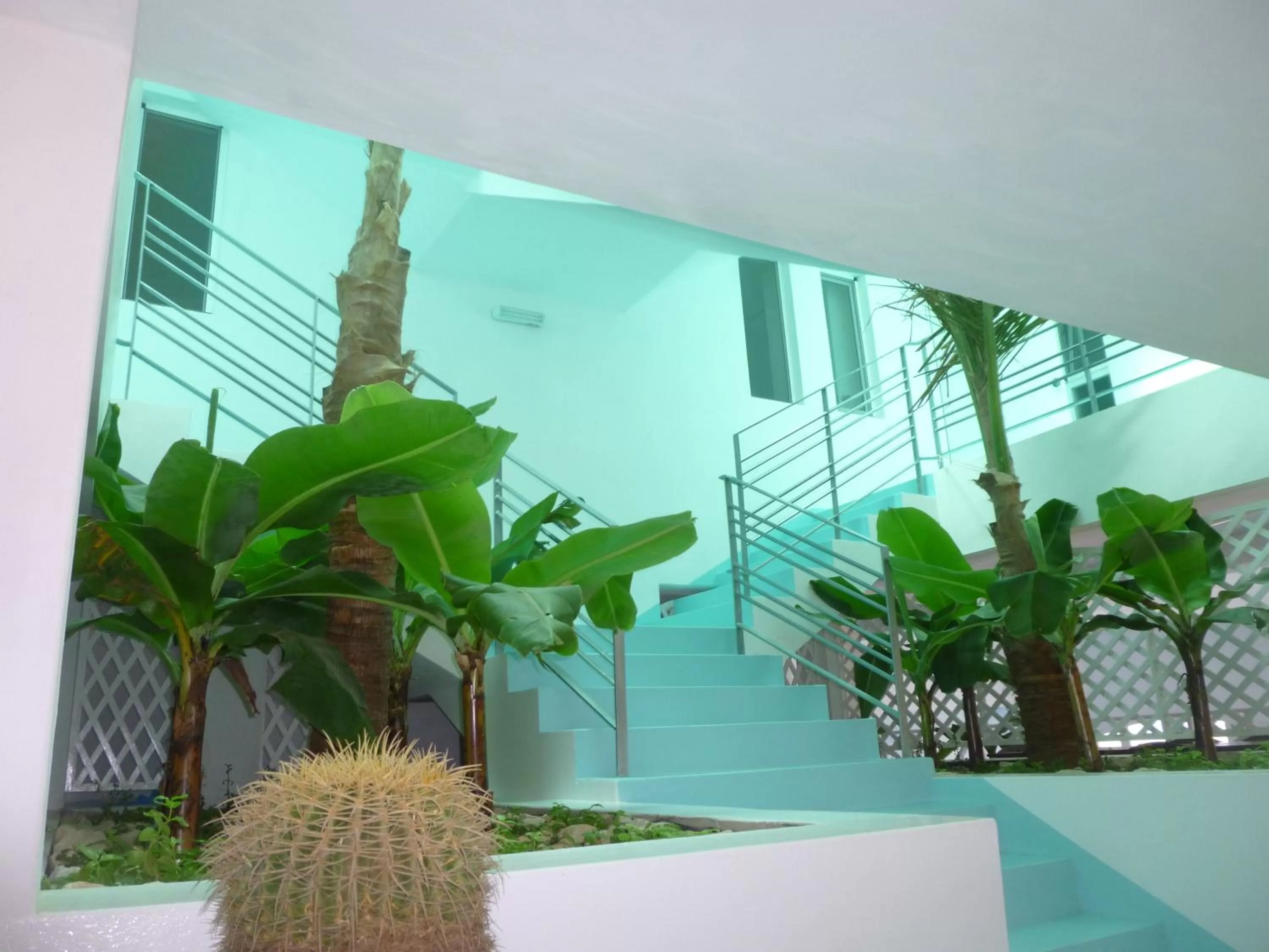 Balcony/Terrace in Pensaò Big Game Maio