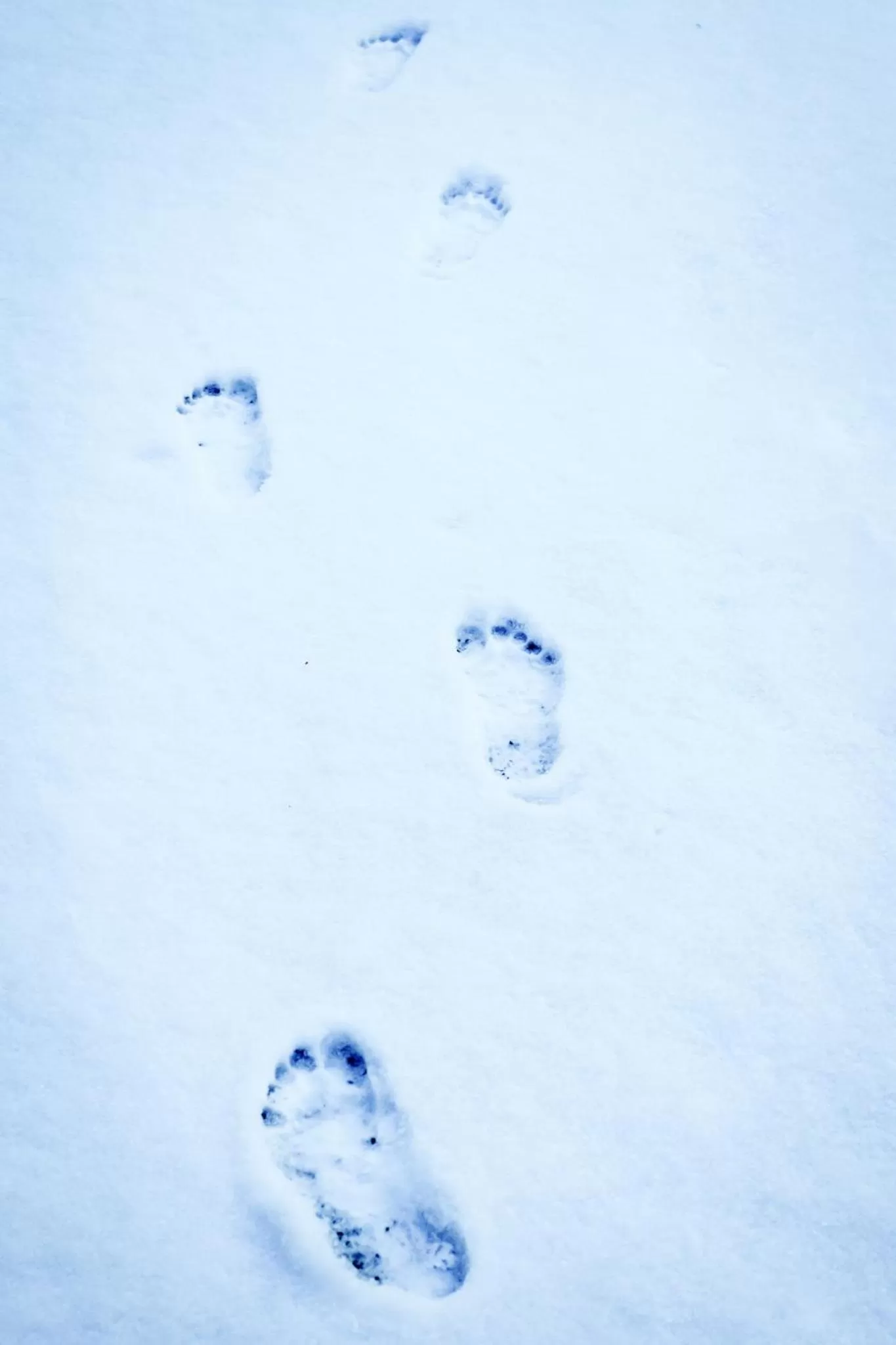 Winter in Barefoot Villas and Retreat