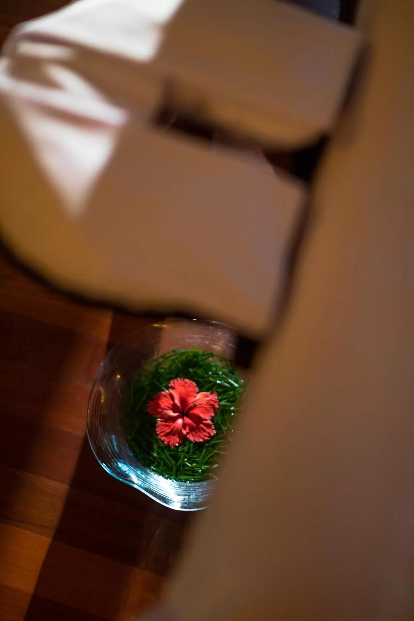 Spa and wellness centre/facilities in Canareef Resort Maldives