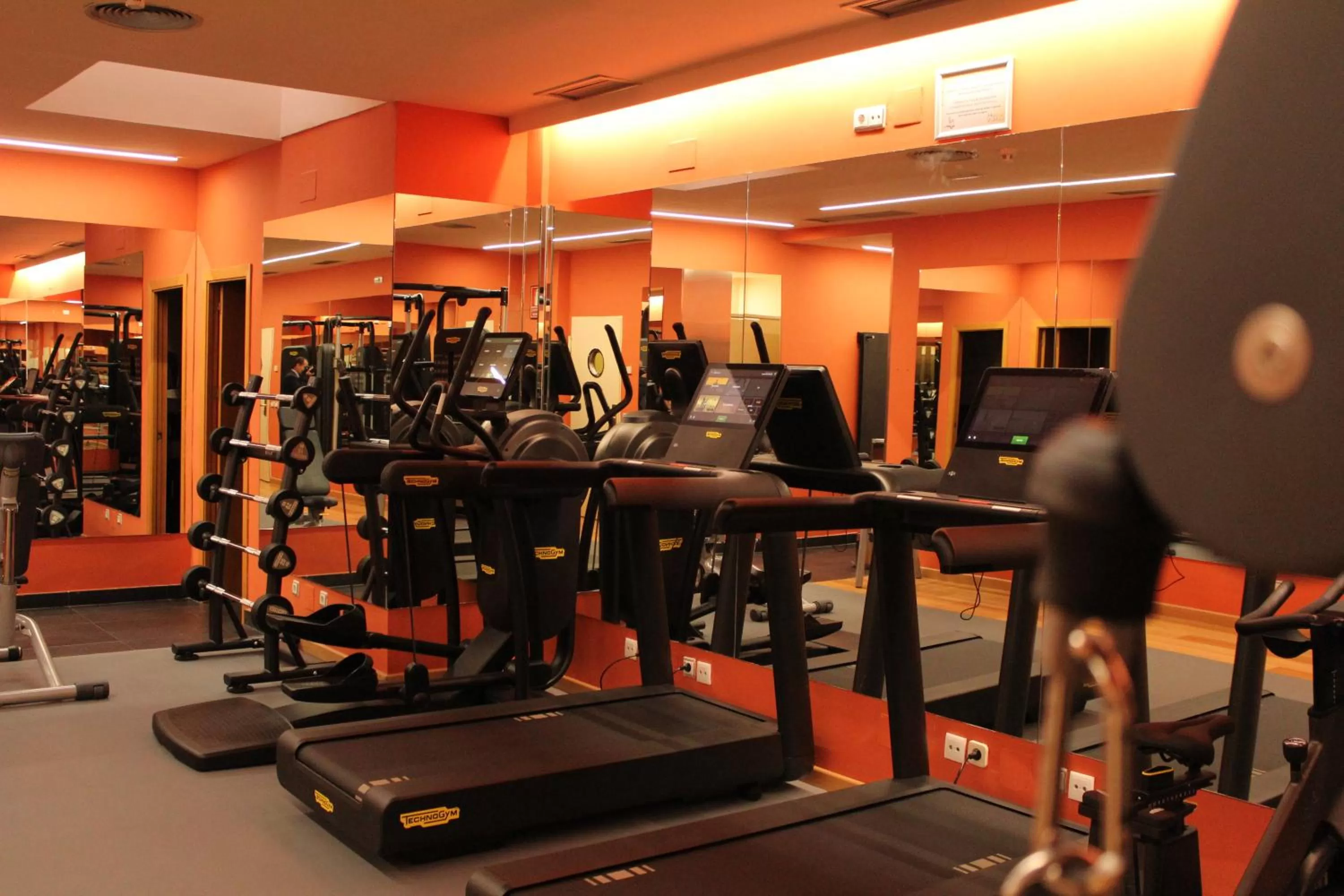 Fitness centre/facilities in Hotel Villamadrid