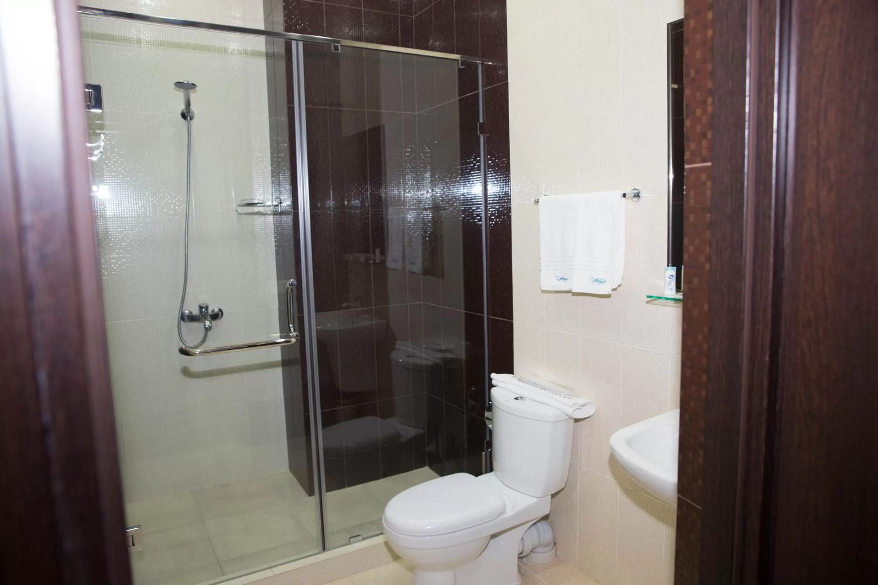 Bathroom in Eridana Hotel