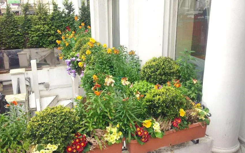 Spring in Holland Inn Hotel