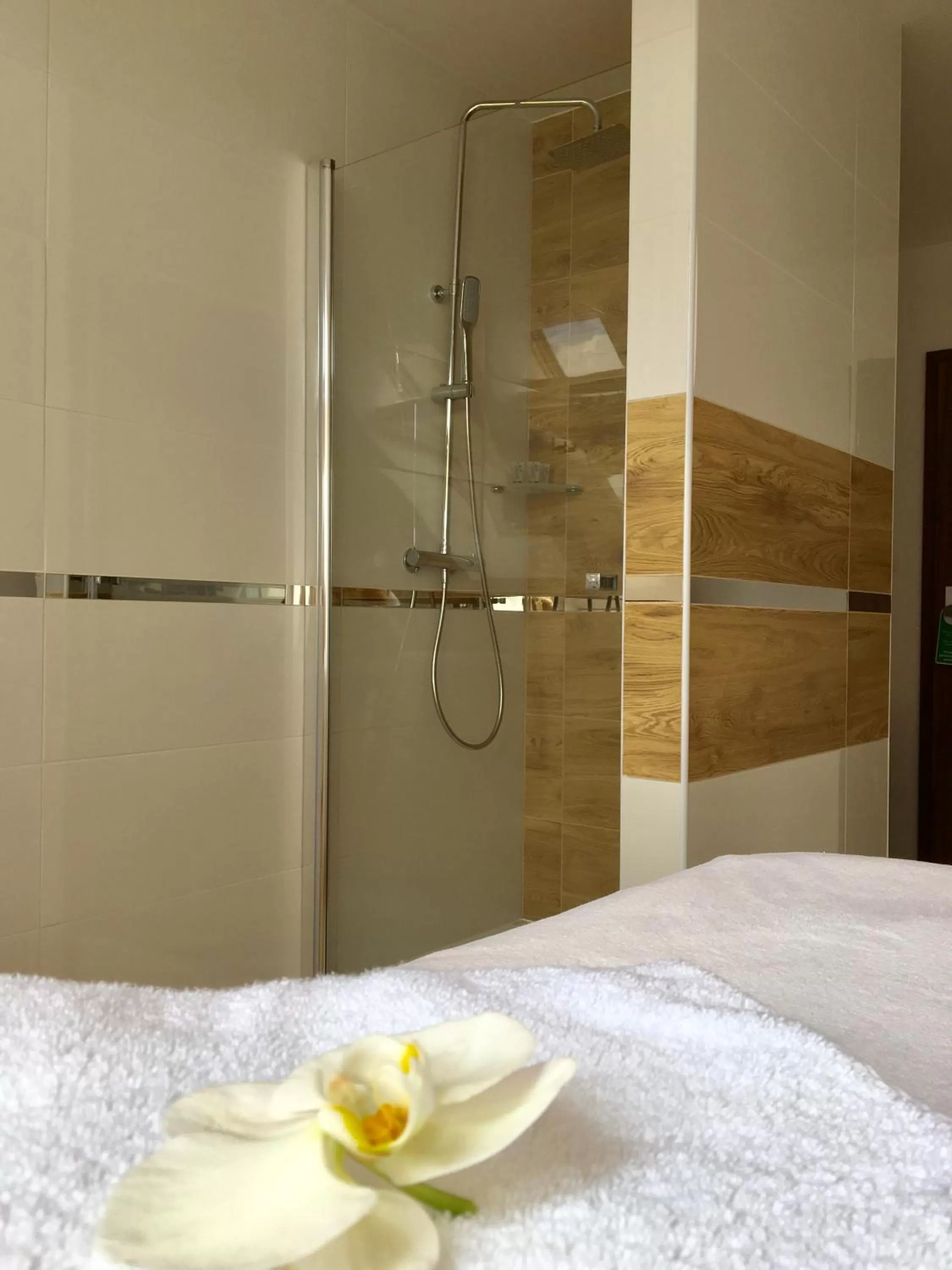 Massage, Bathroom in Hotel Santa Monica