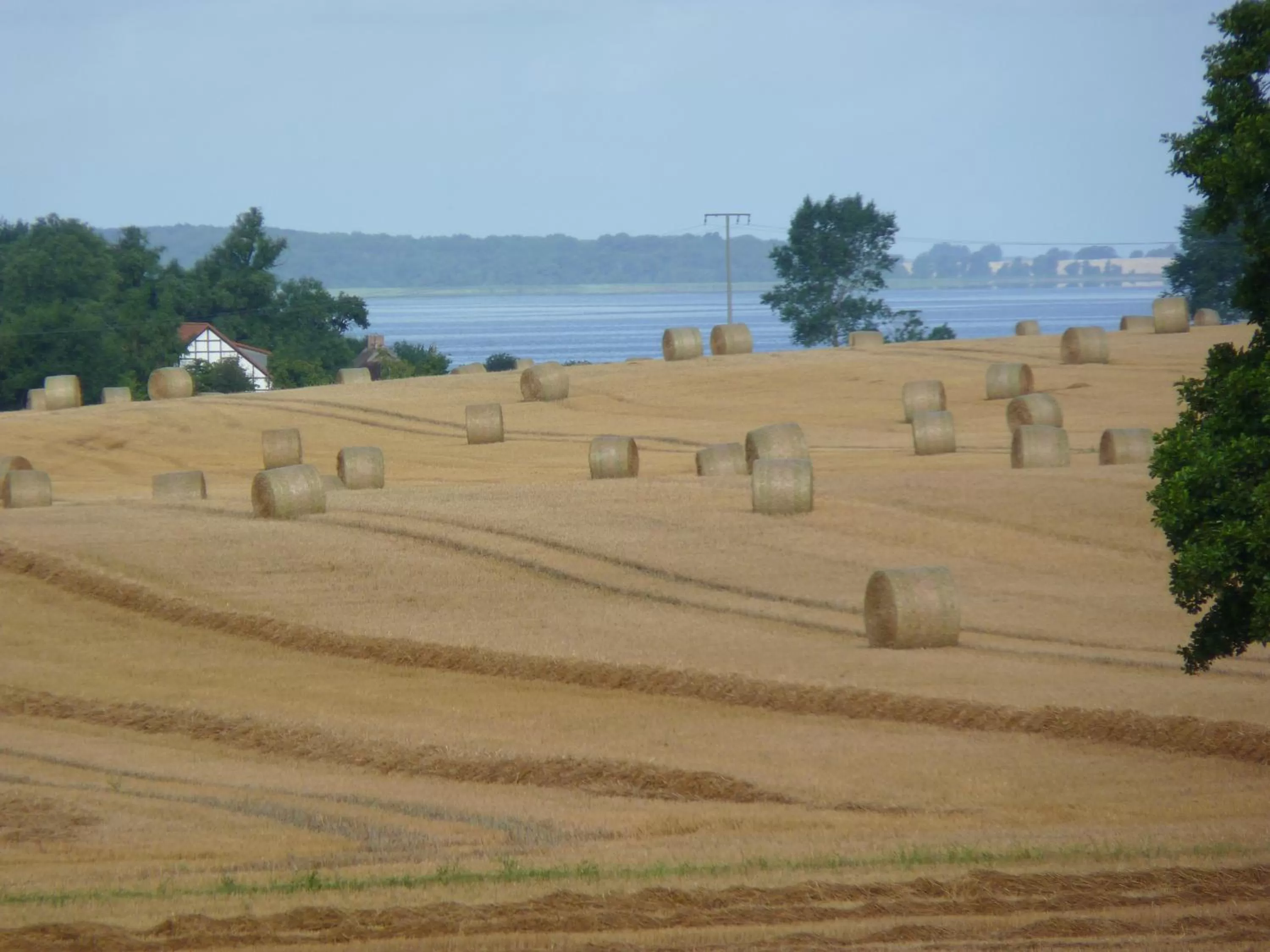 Neighbourhood in Hotel Am Markt