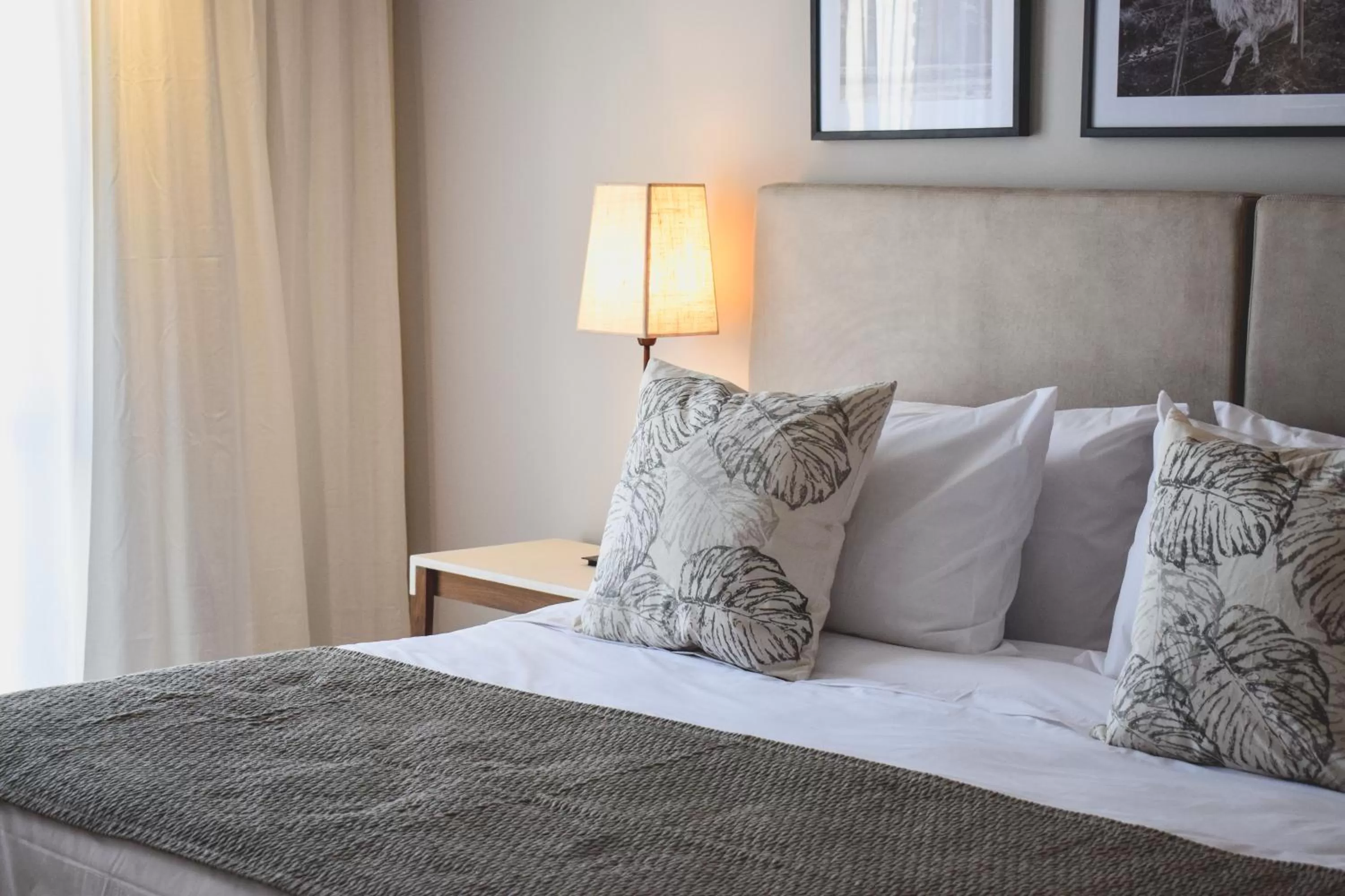 Cyan Soho Neuquén Hotel