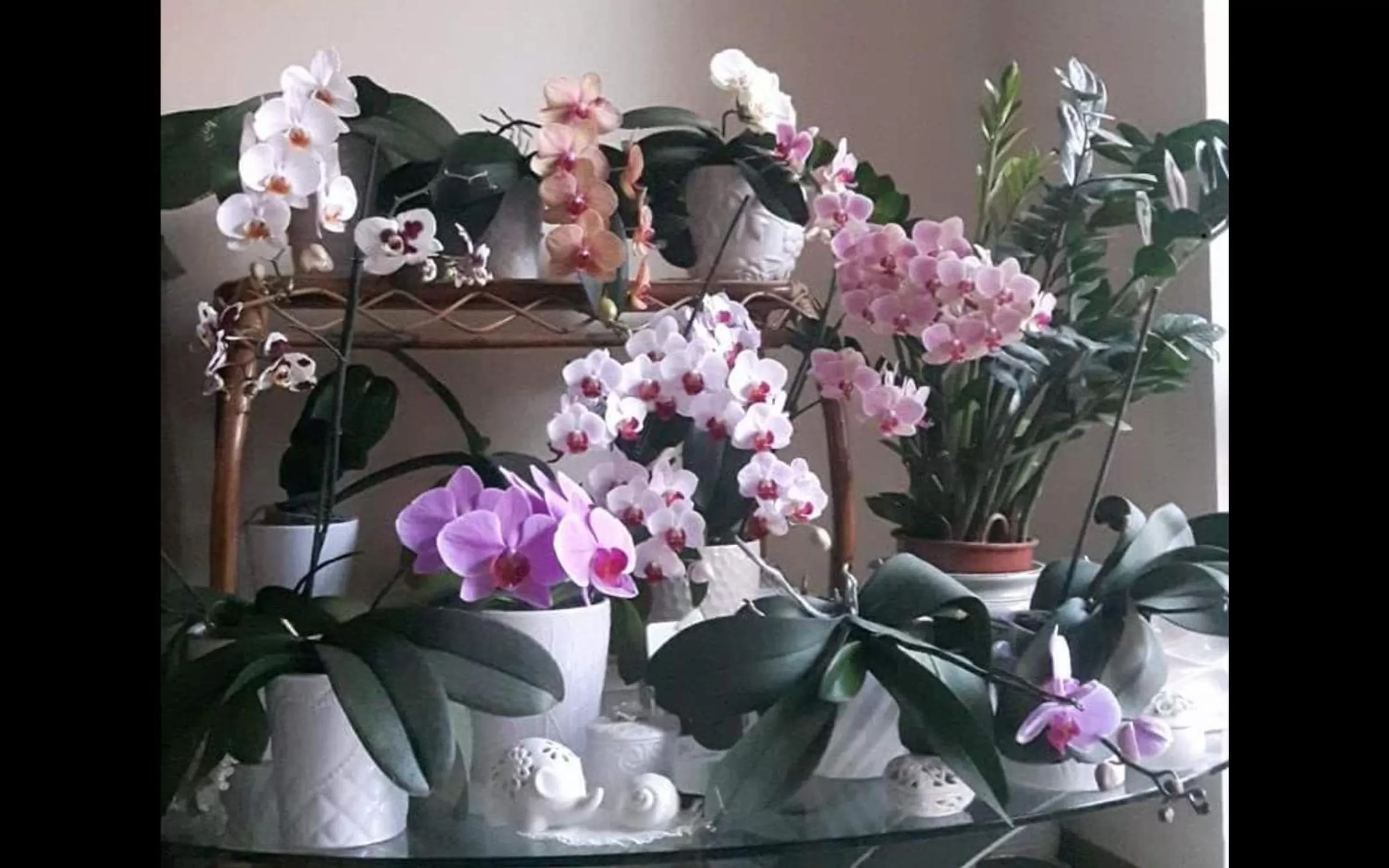 Decorative detail in B&B Amy&Julie