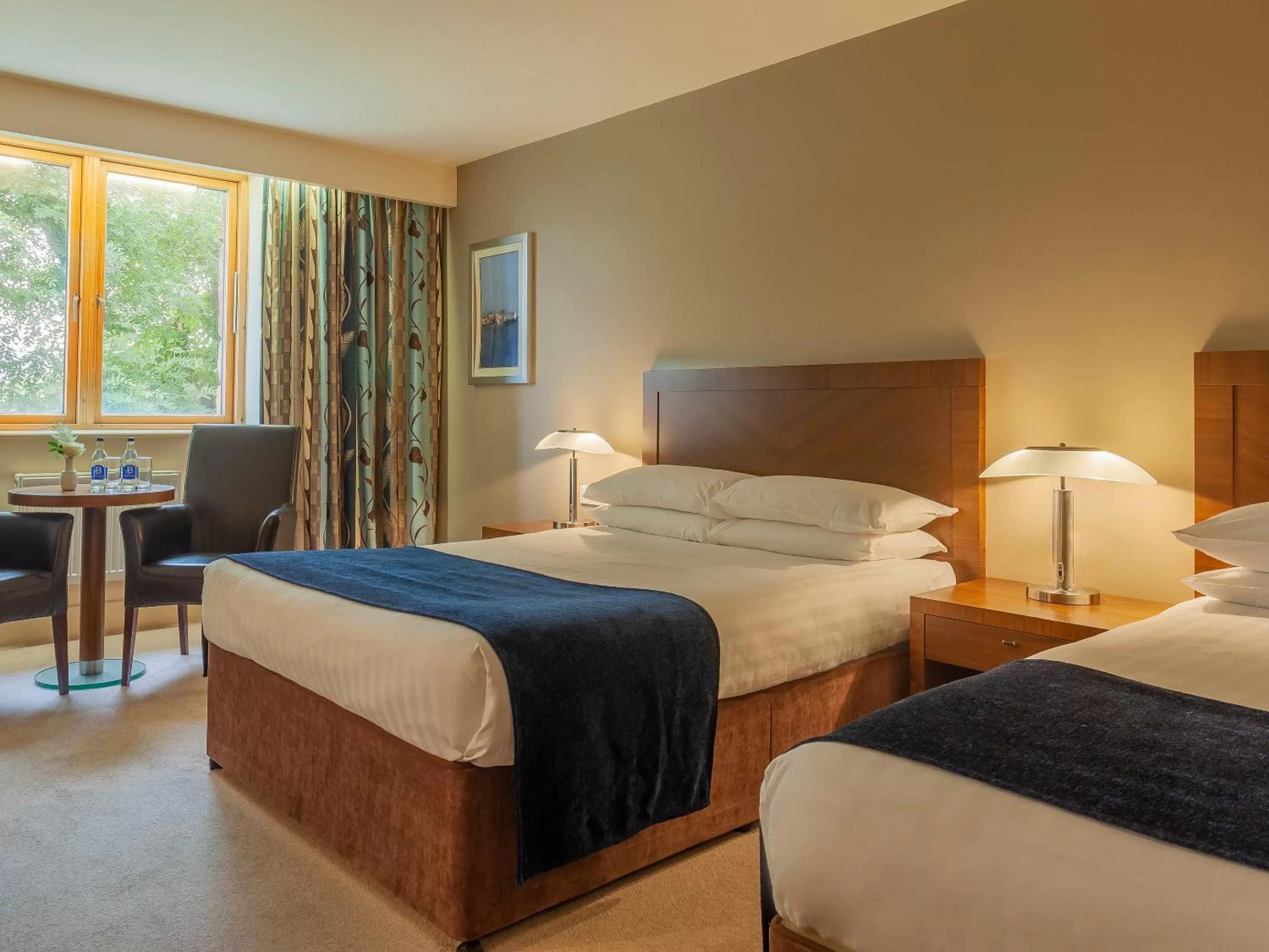 Double Room in Ballyroe Heights Hotel