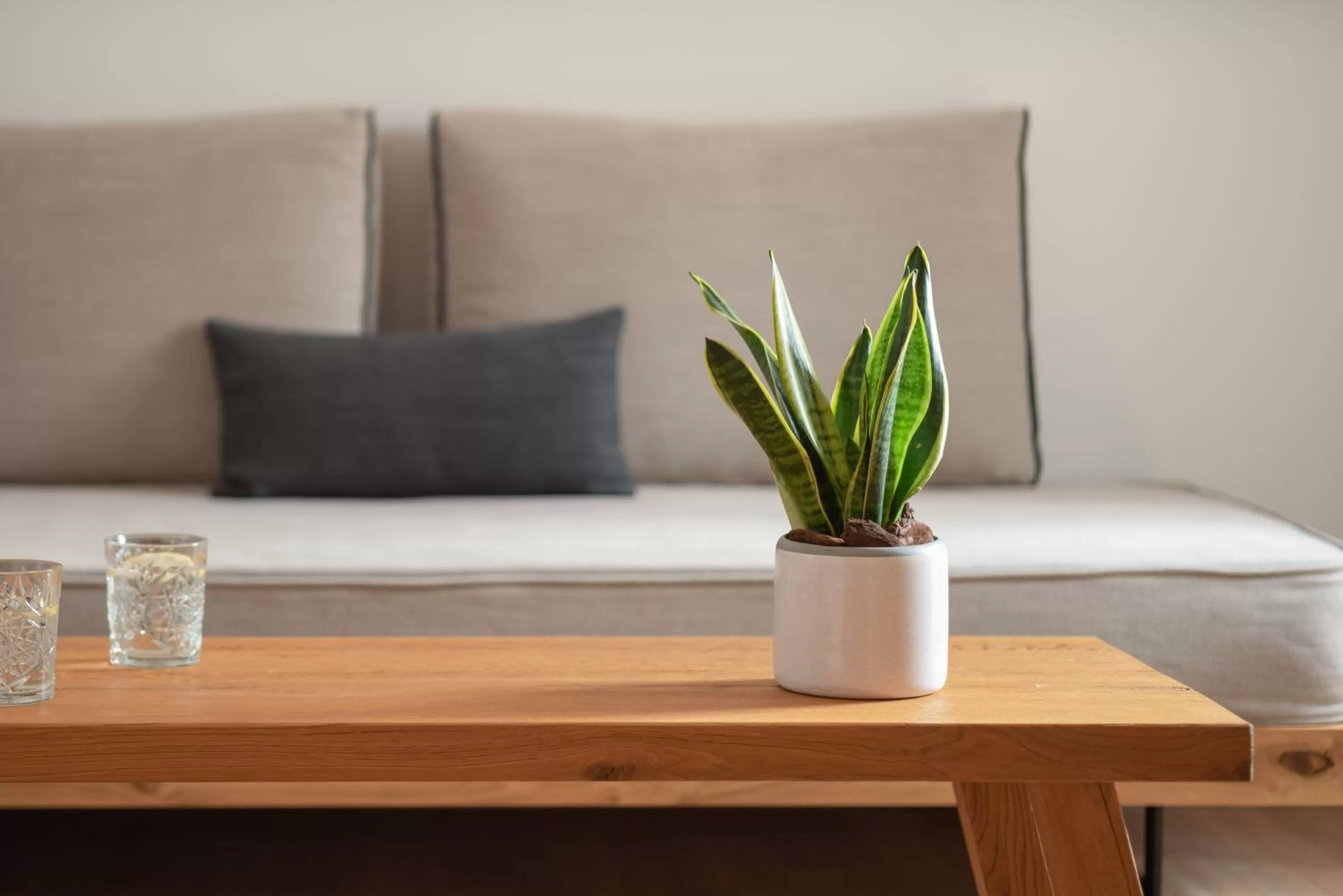 Decorative detail in Hotel Ideon