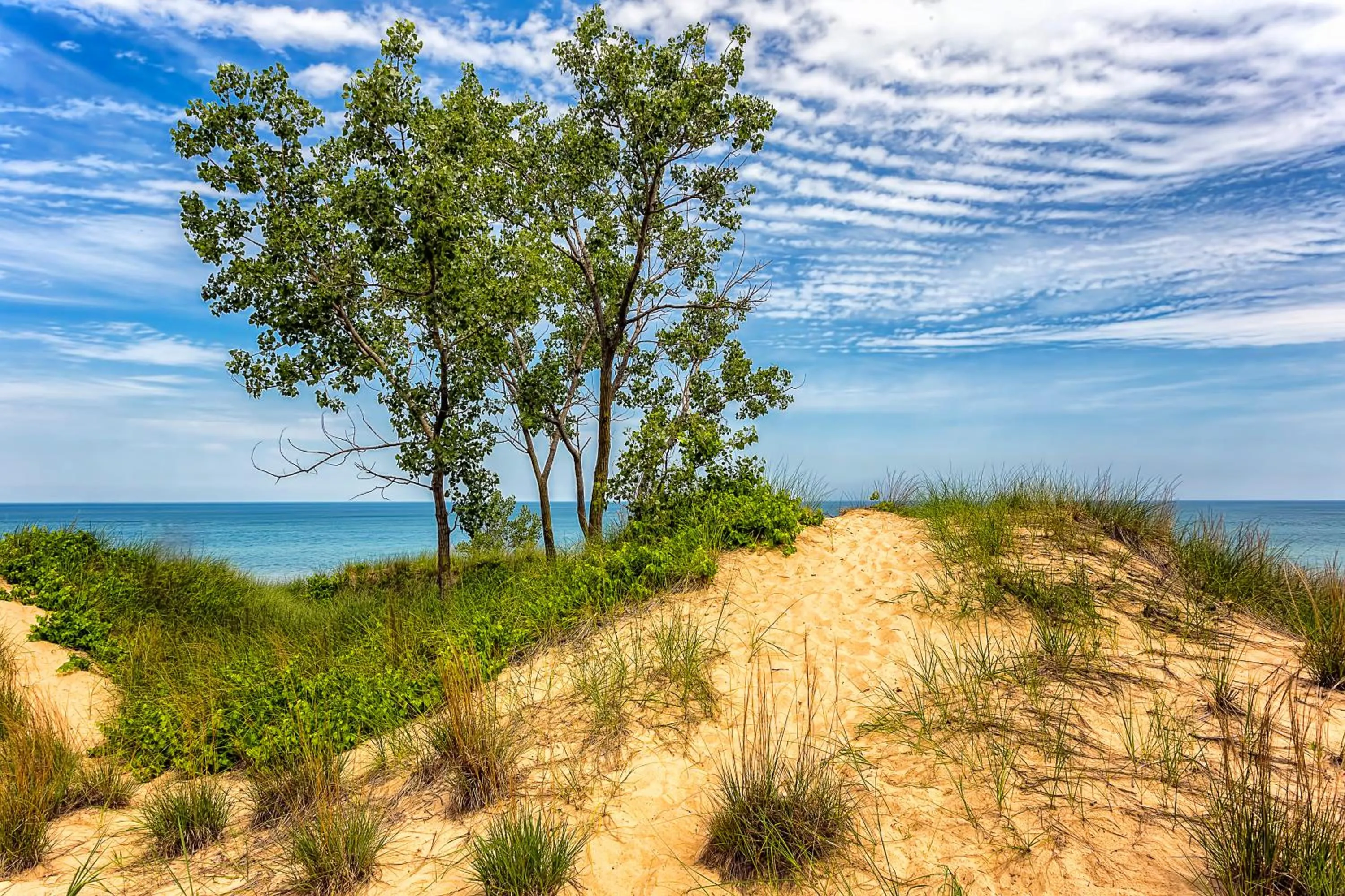 Area and facilities in Staybridge Suites Schererville by IHG