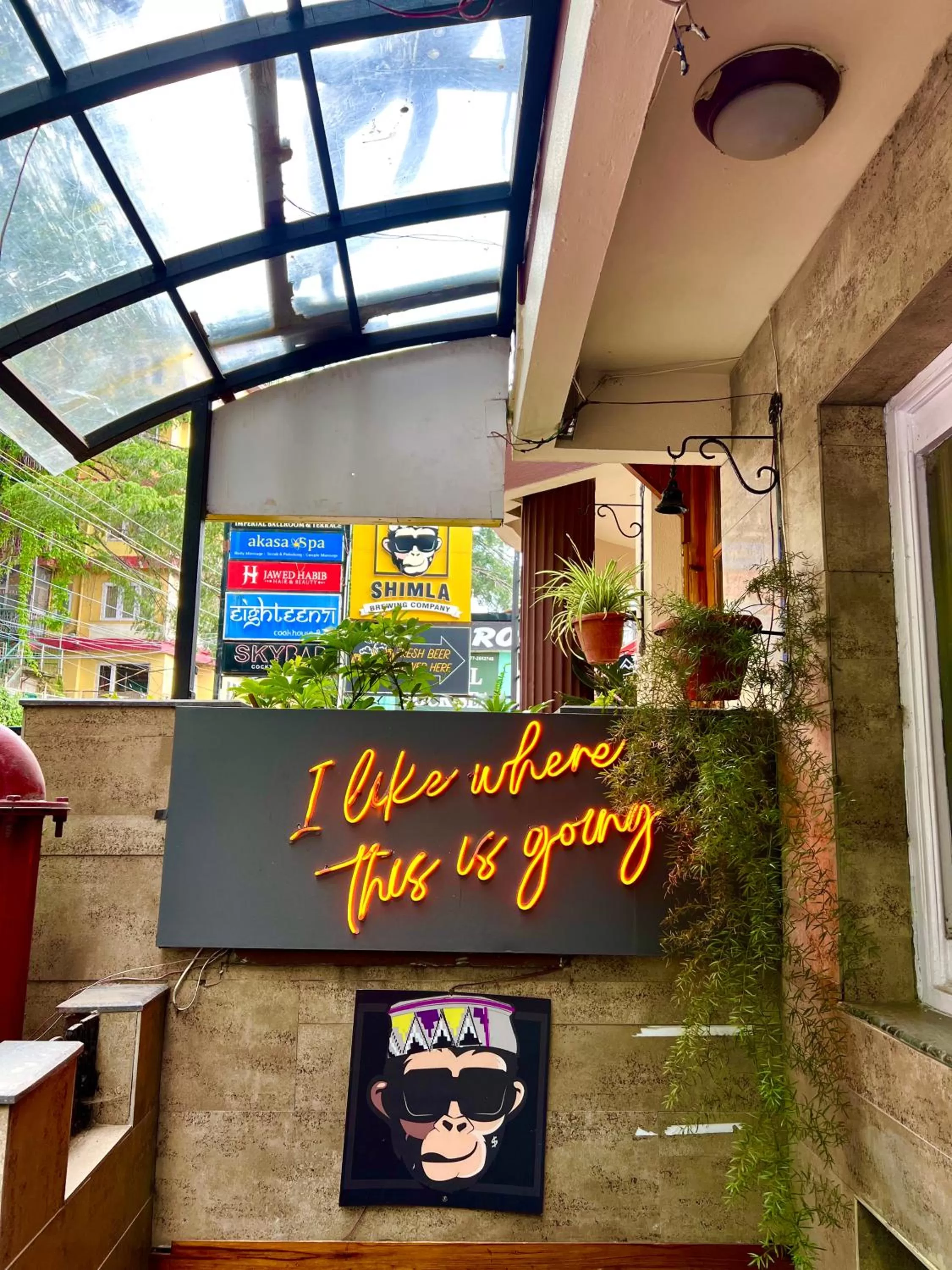 Nightclub / DJ in Hotel Willow Banks Shimla