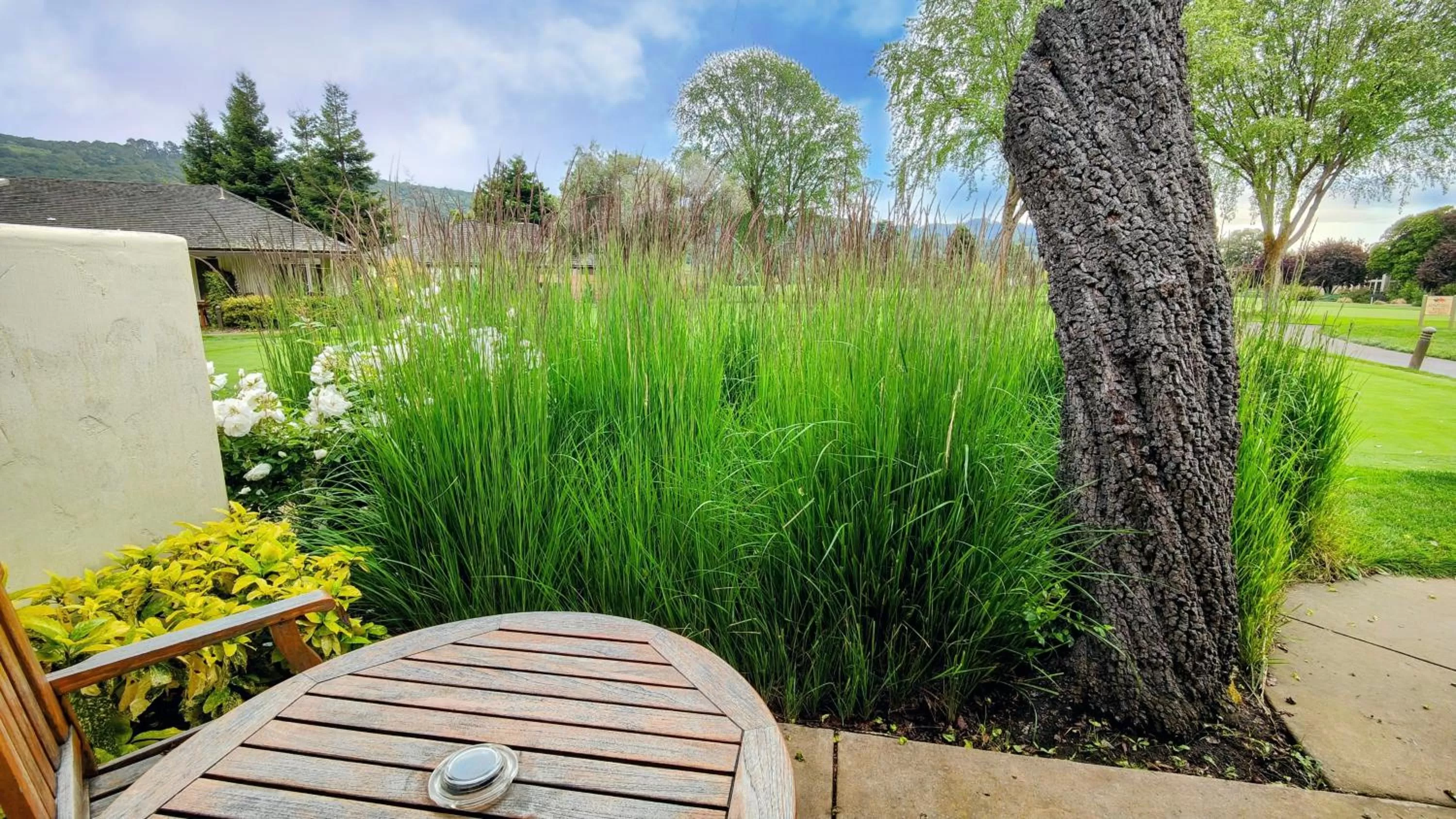 Patio in The Quail Lodge