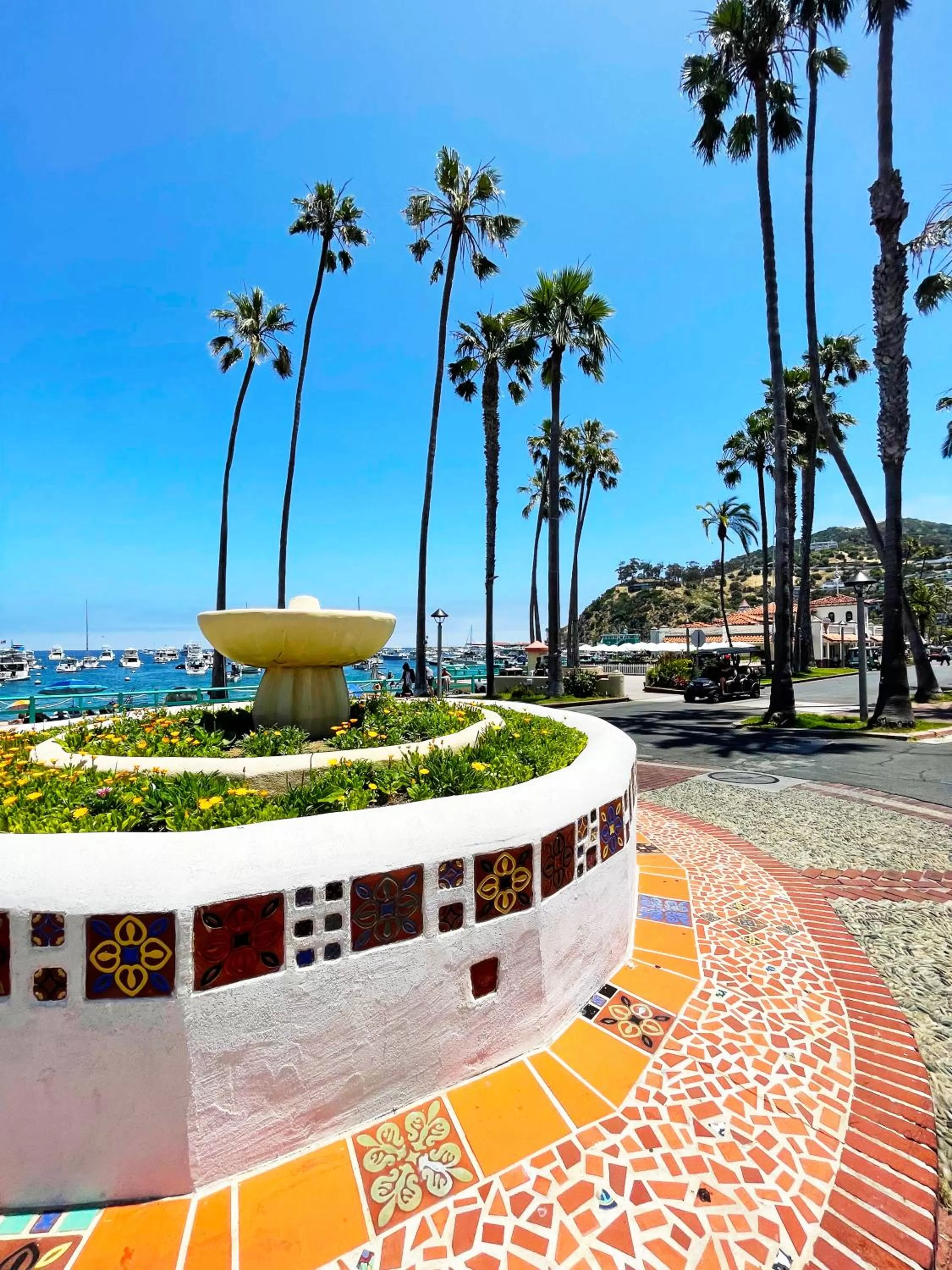 Nearby landmark in Catalina Courtyard Suites