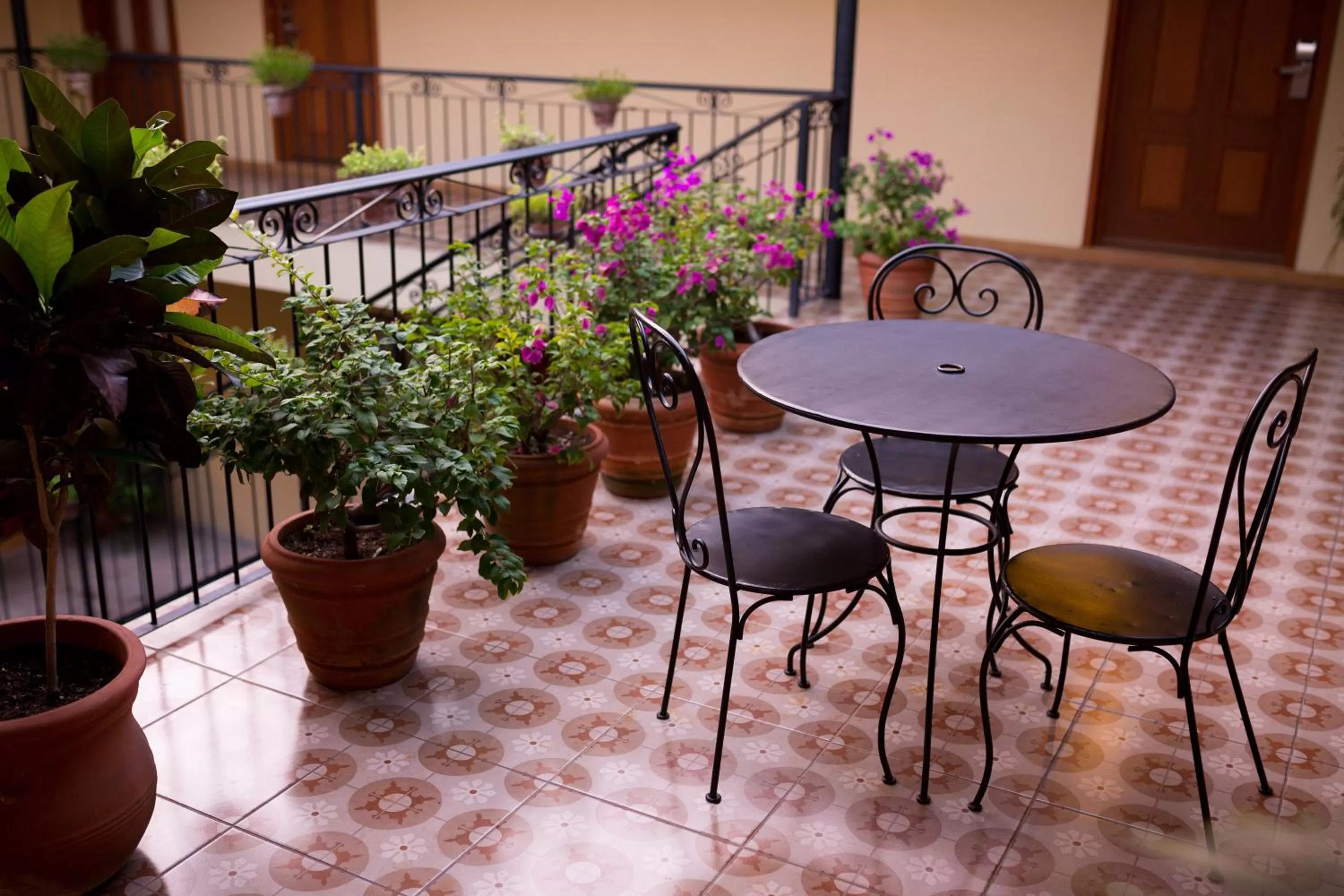 Patio in Hotel La Casona de Don Jorge