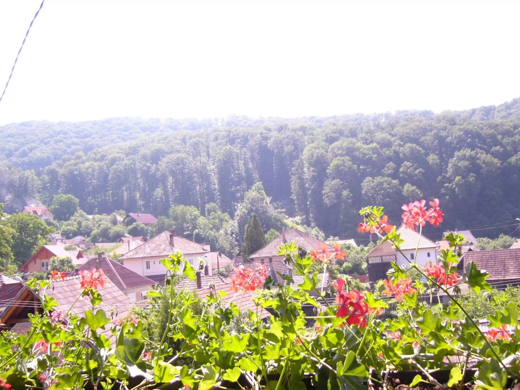 Mountain view in Csaki Vendeghaz