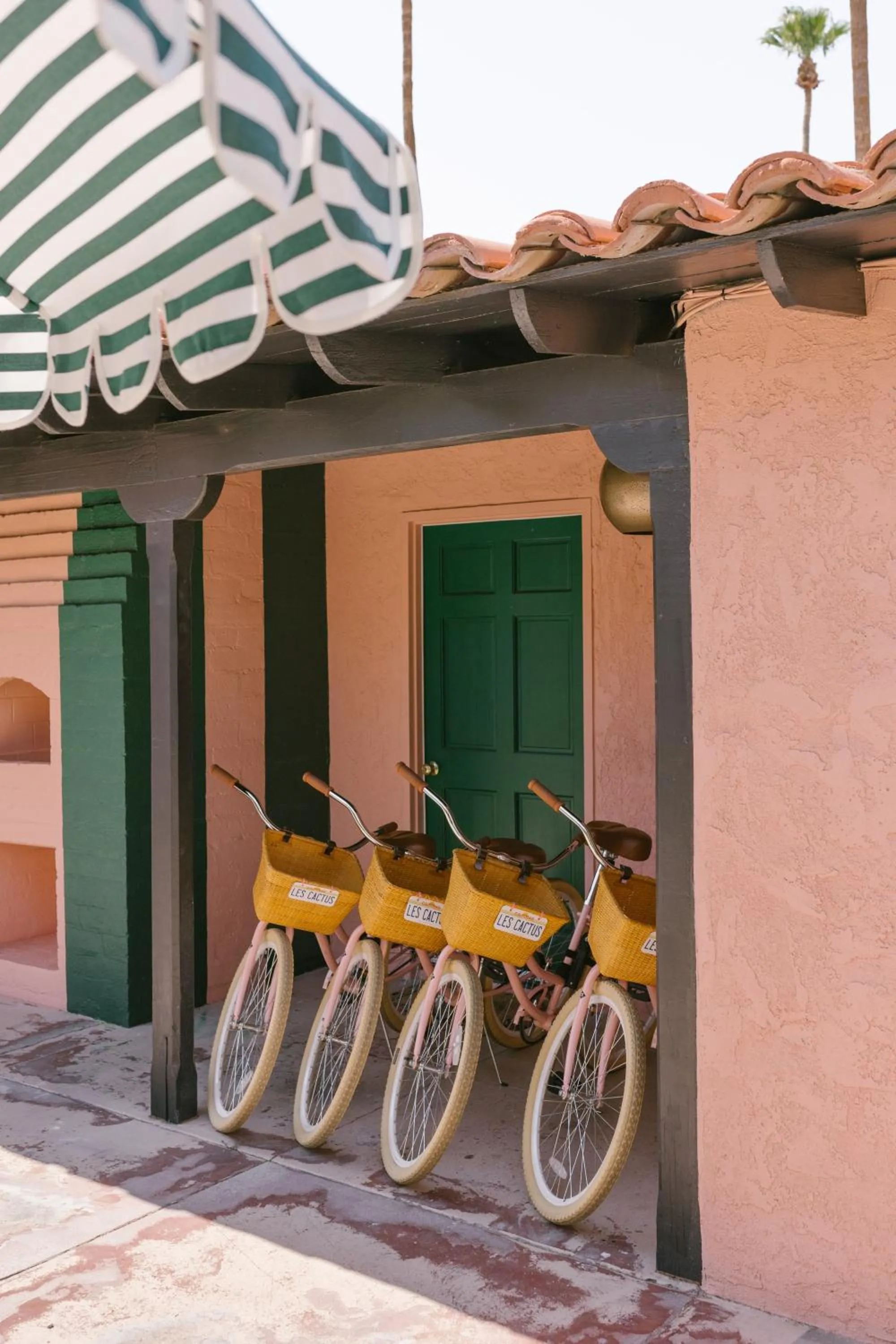 Cycling in Les Cactus