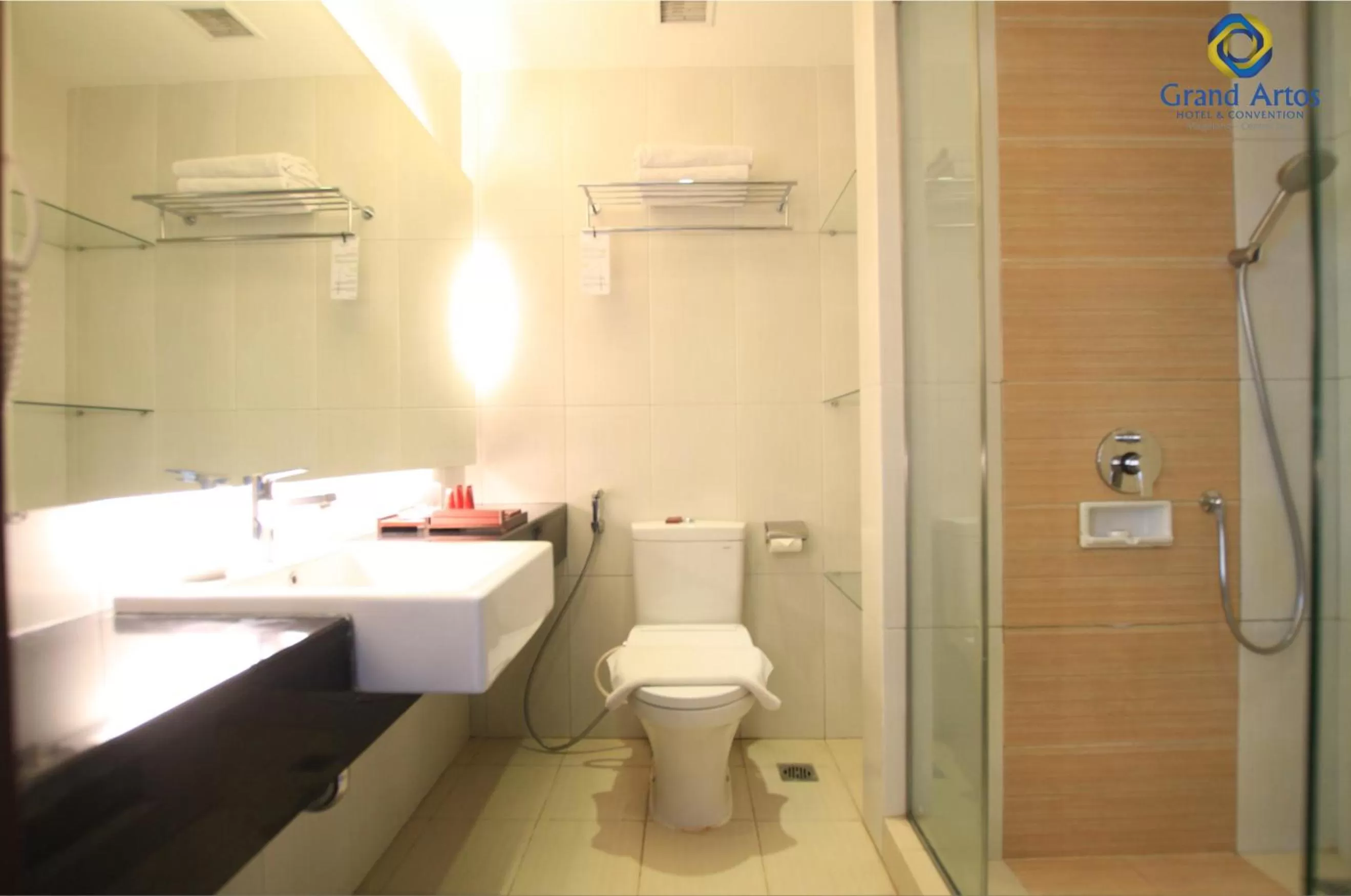 Premiere Twin in Grand Artos Hotel & Convention