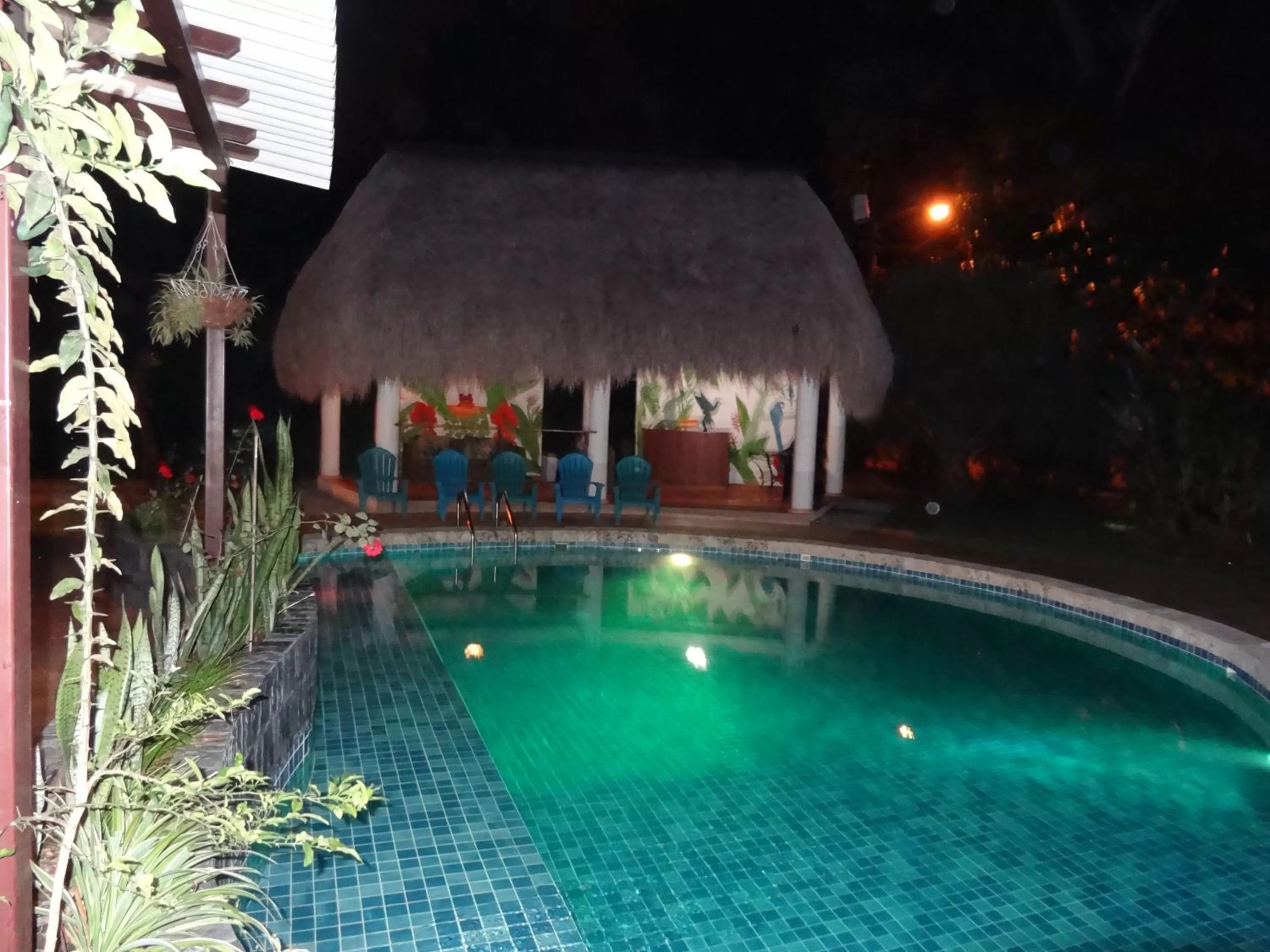 Swimming Pool in Hotel-Boutique Patampa