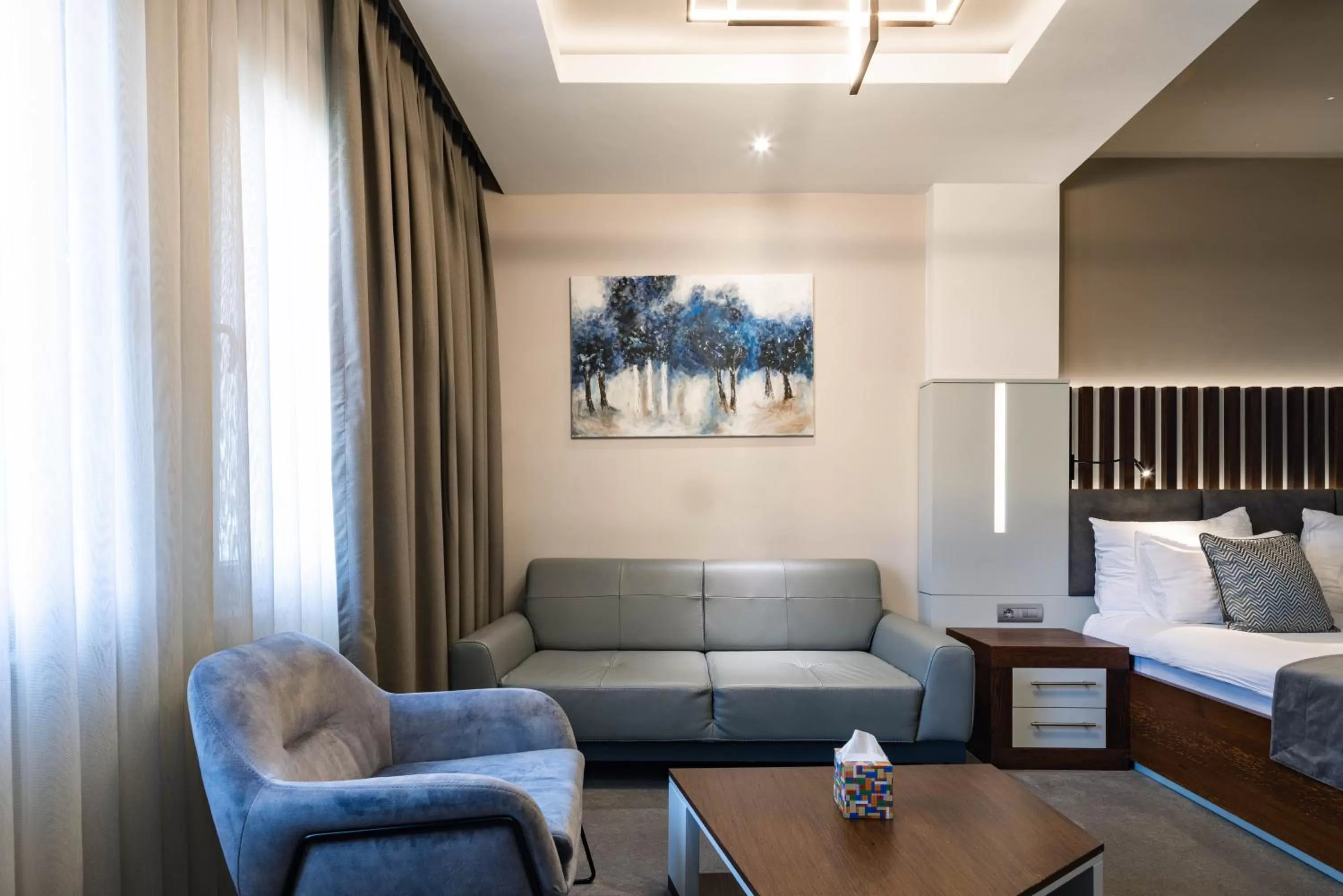 Seating Area in Hotel Prishtina