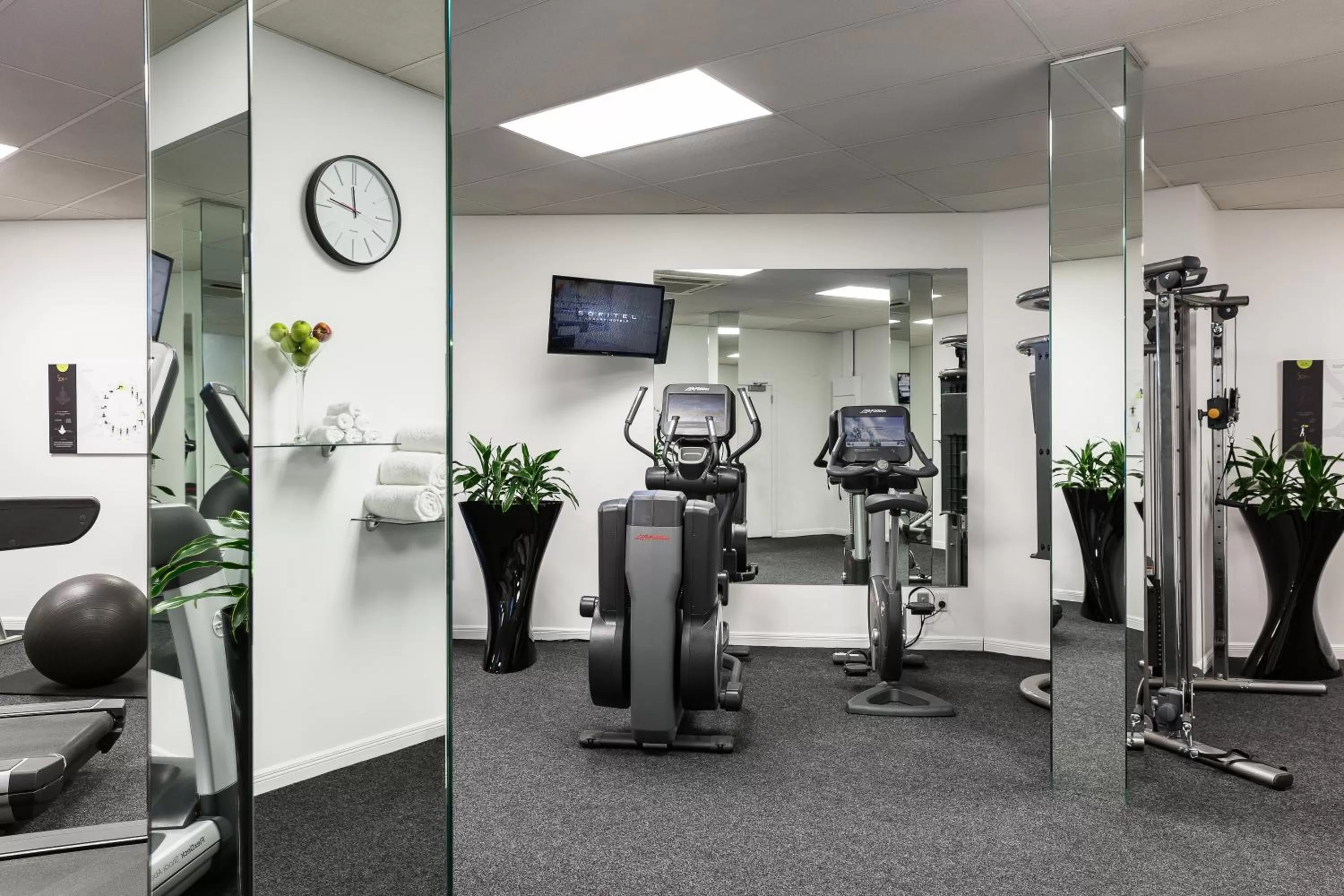 Fitness centre/facilities in Sofitel Queenstown Hotel & Spa