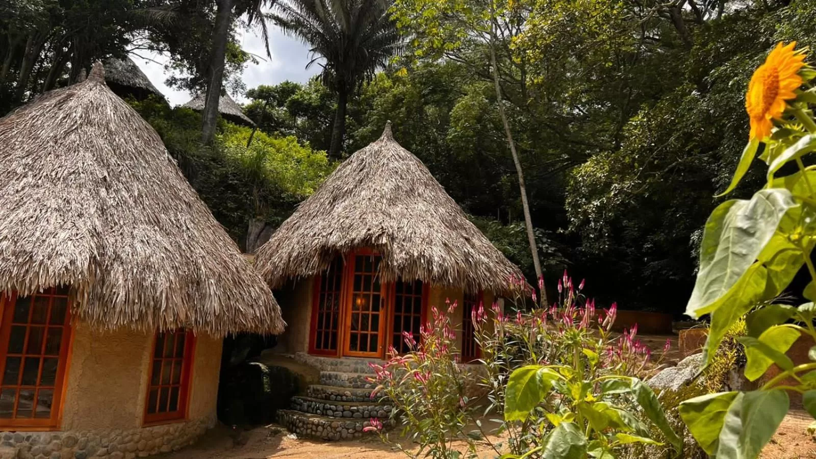 Property building in Tawaca Ecohotel