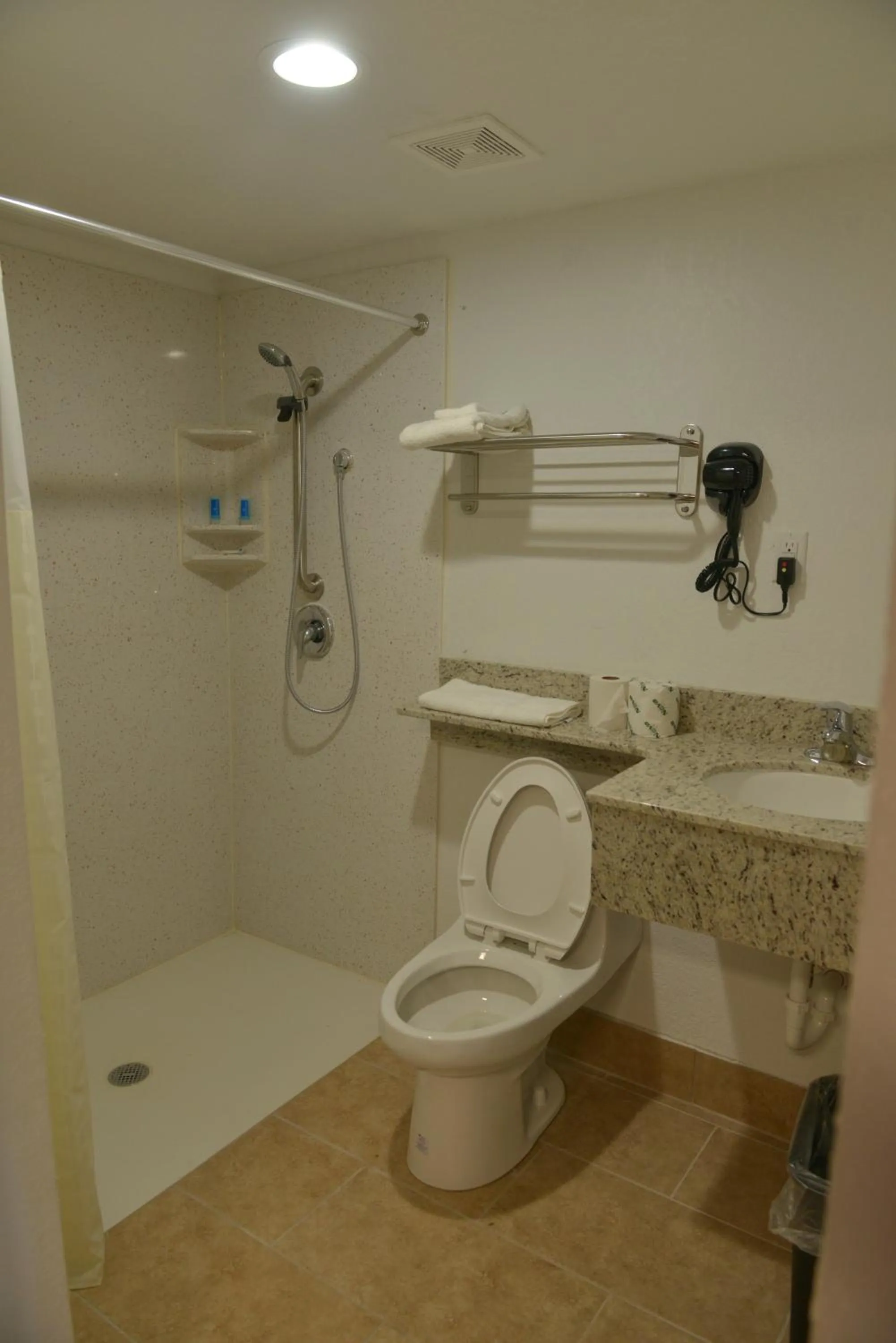 Bathroom in Rodeway Inn & Suites Winter Haven Chain of Lakes