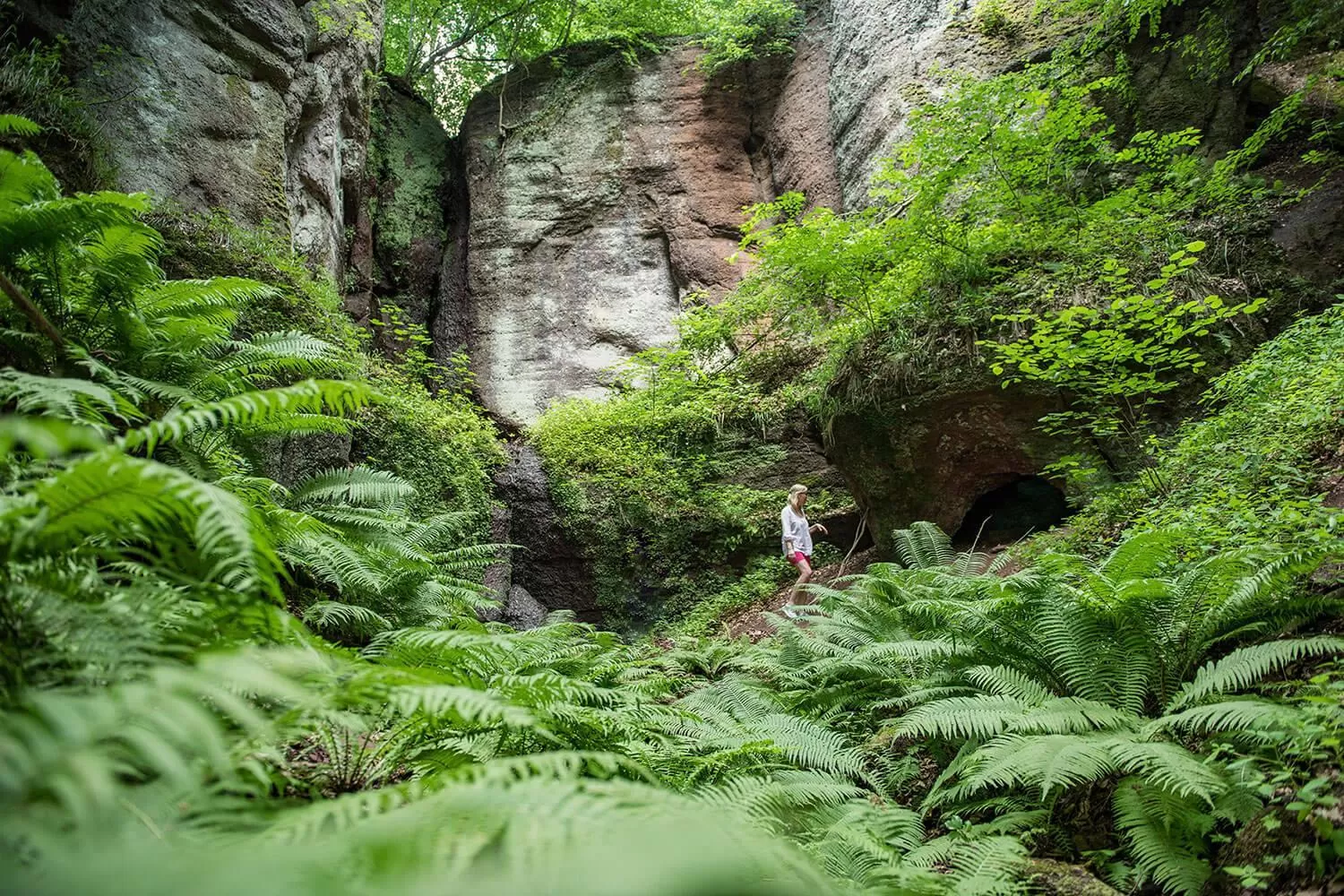 Spring, Natural Landscape in Suites MITTE - Aparthotel