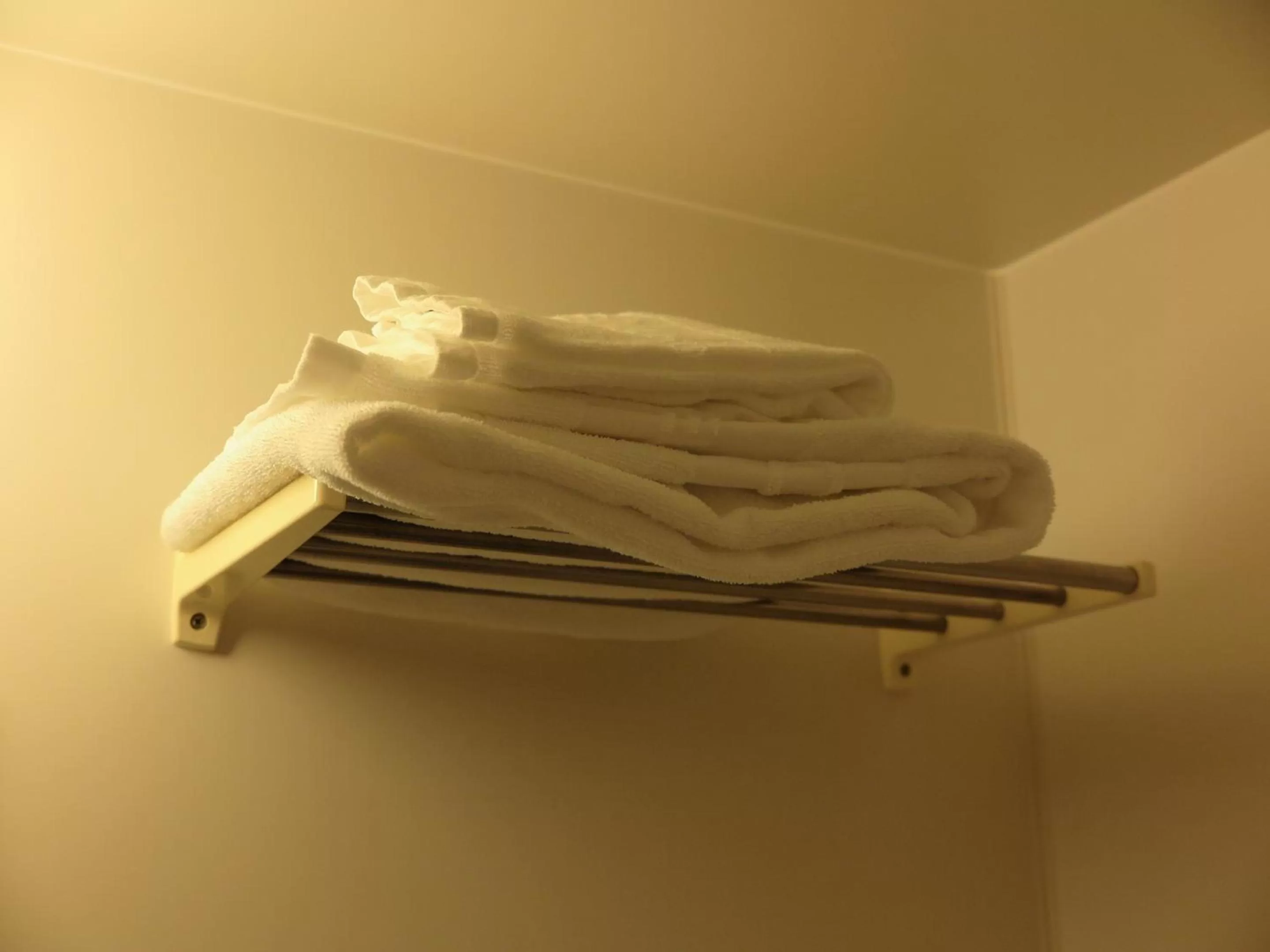 Other in Hotel Route-Inn Kikugawa Inter