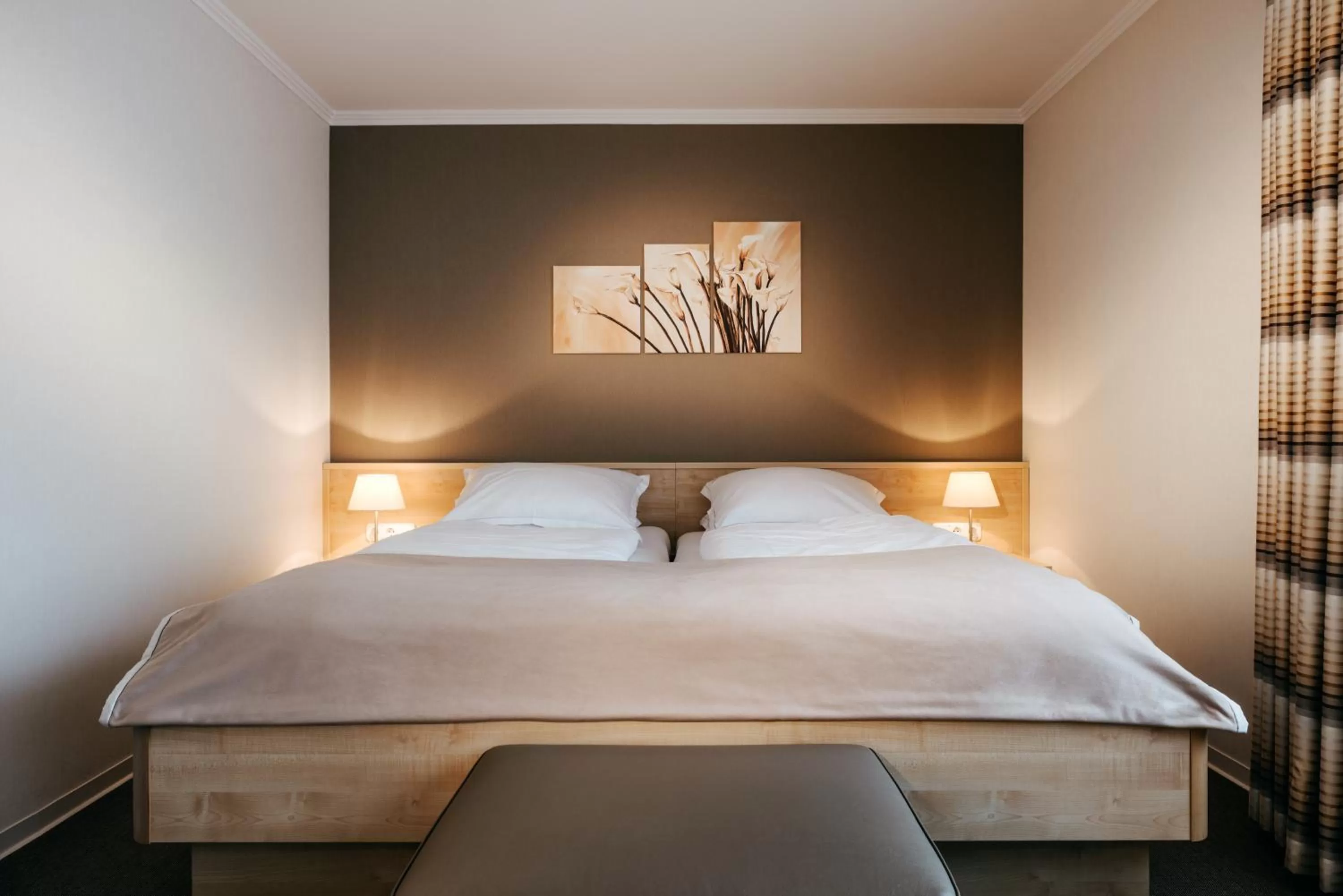 Economy Double or Twin Room in Romantik Berghotel Astenkrone