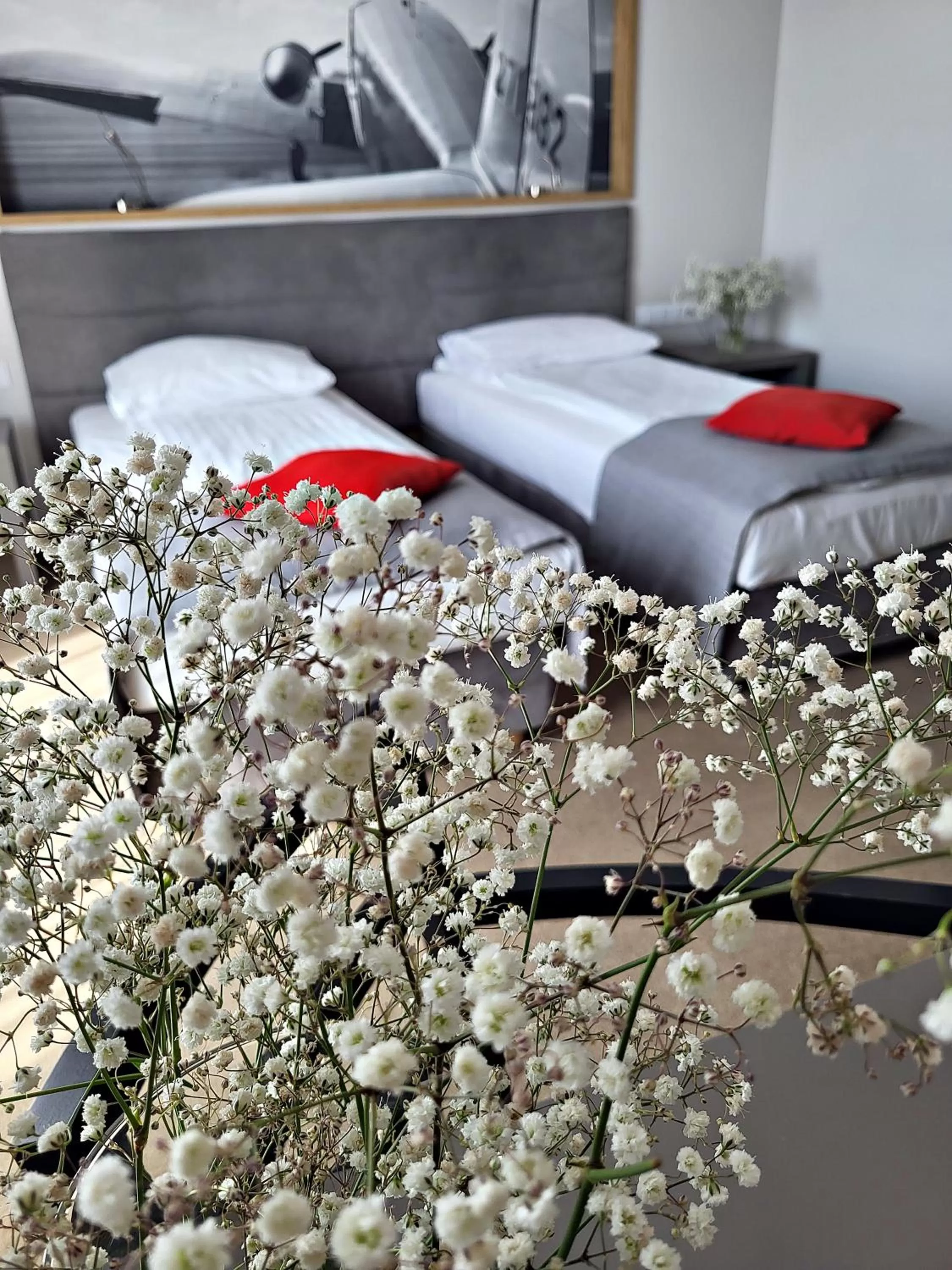 Photo of the whole room, Bed in Hotel Forza