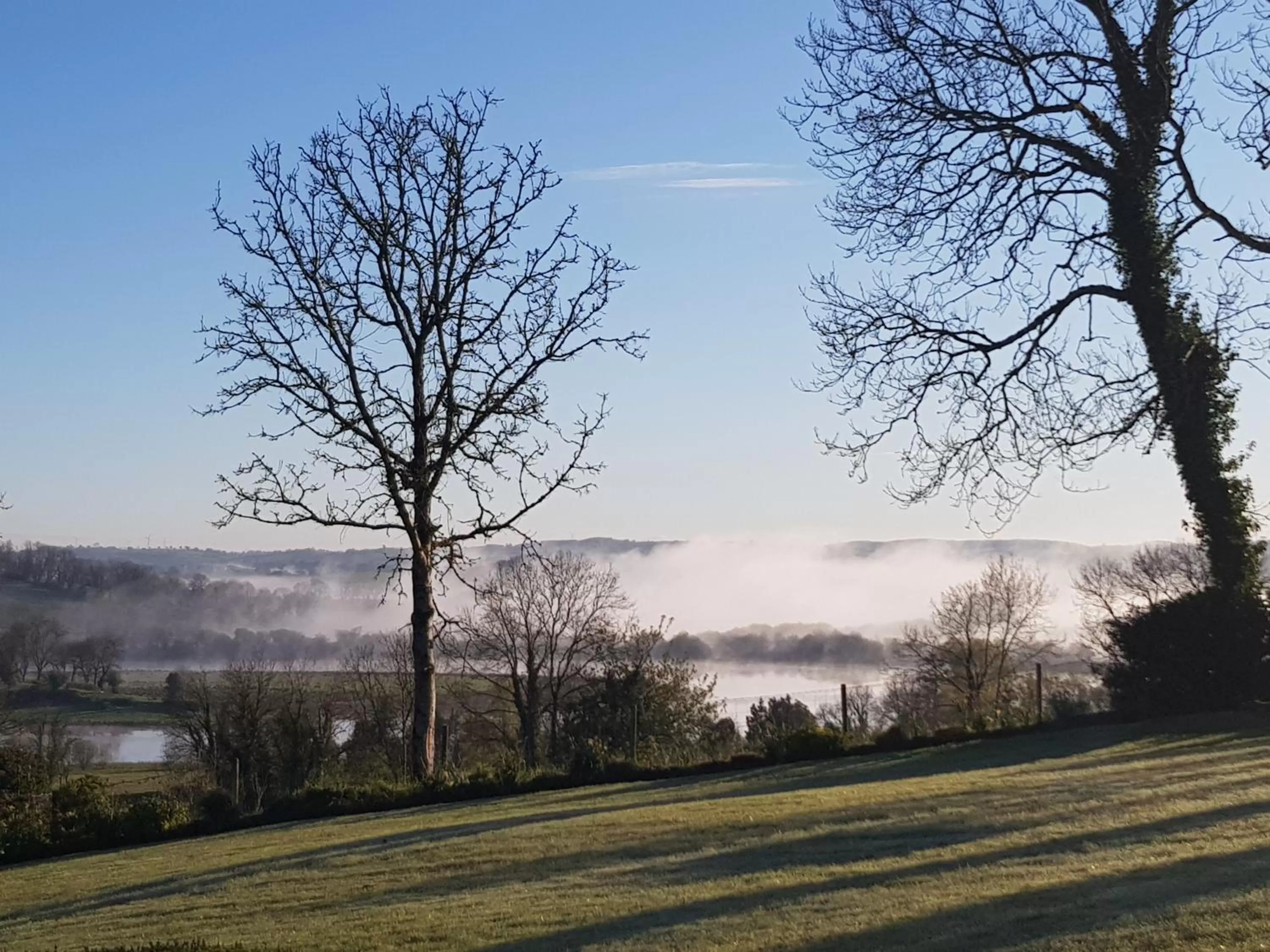 Garden in Willowbank House