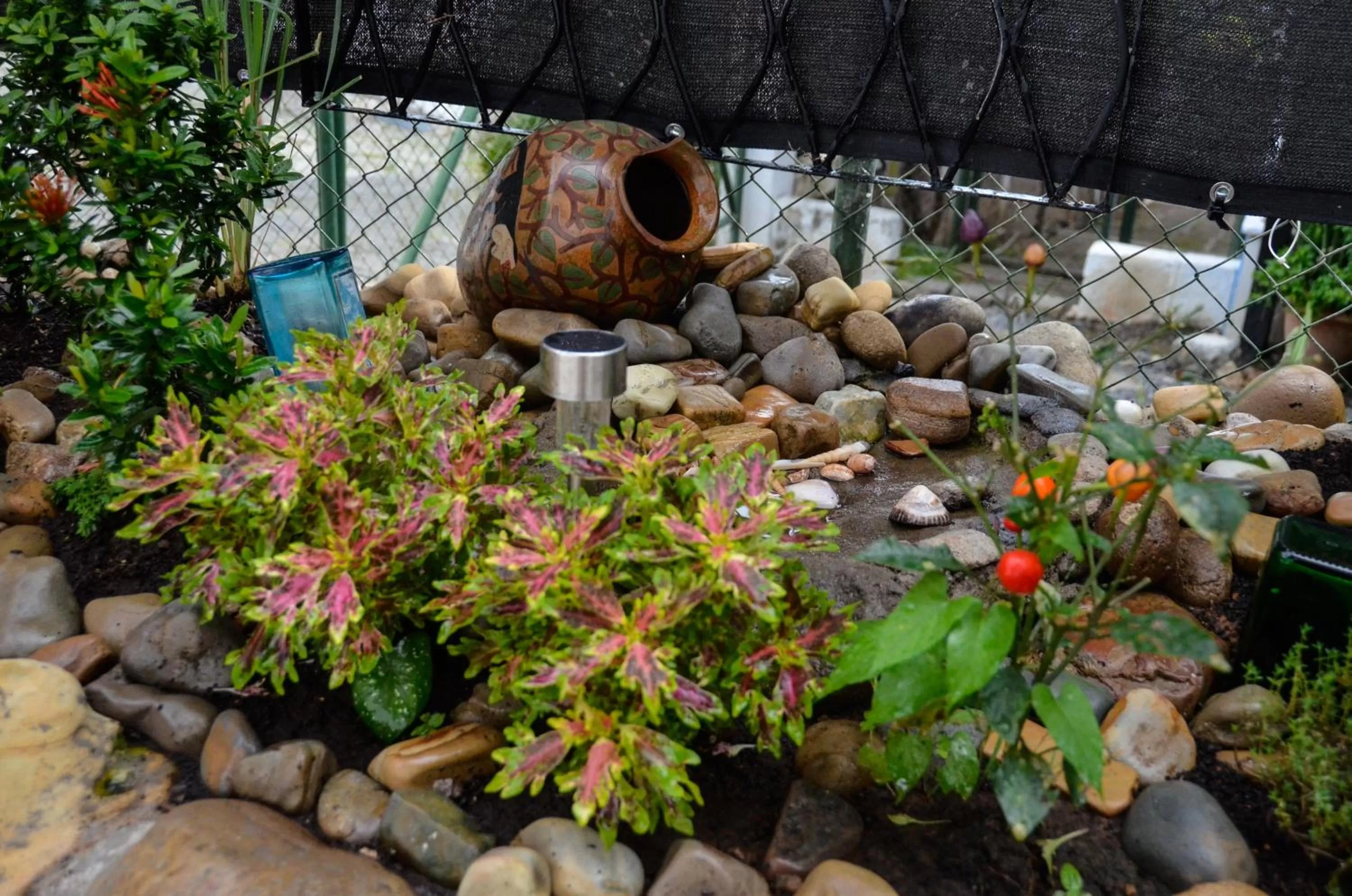 Other, BBQ Facilities in Nuestra Casa